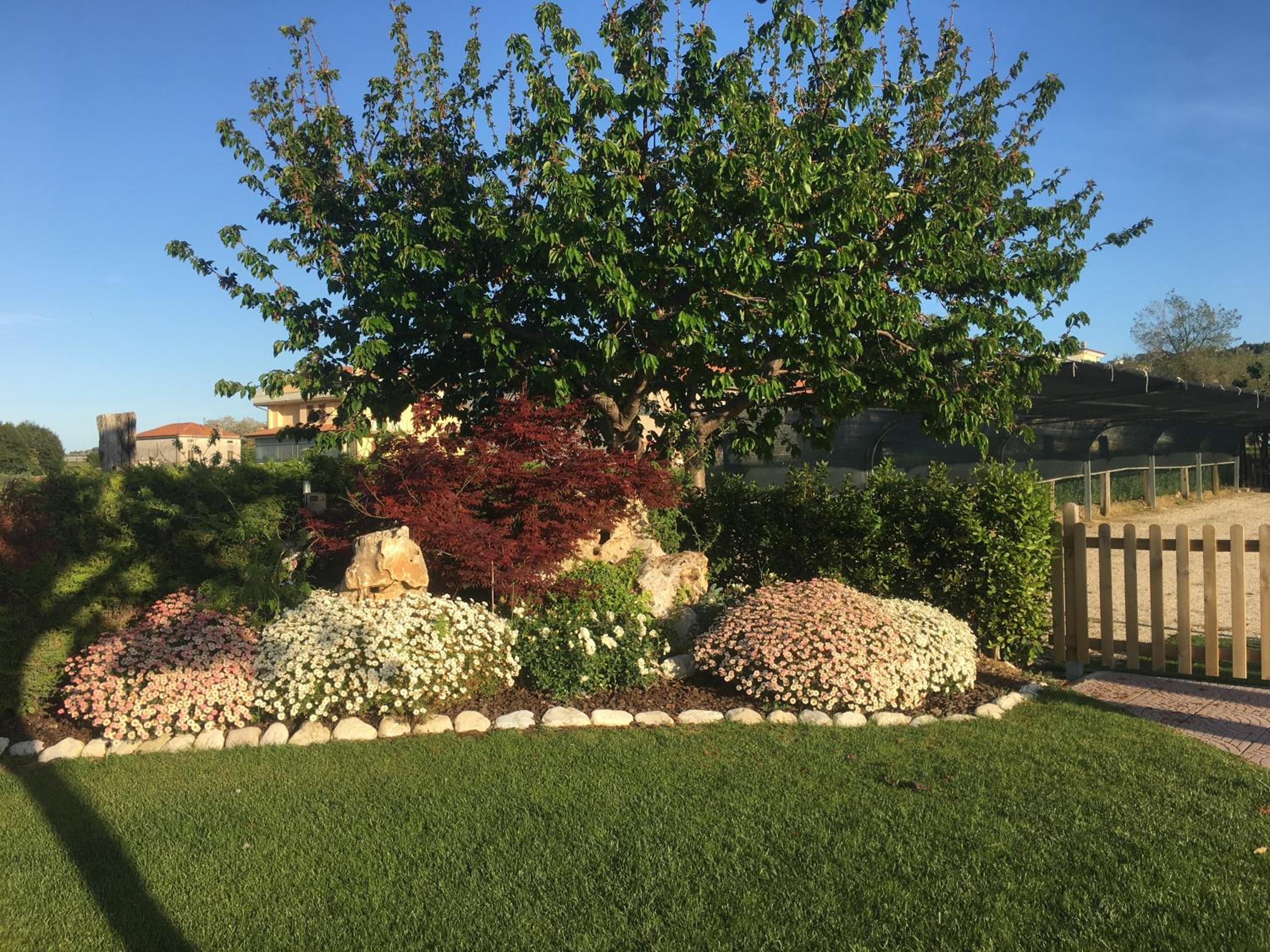 garden