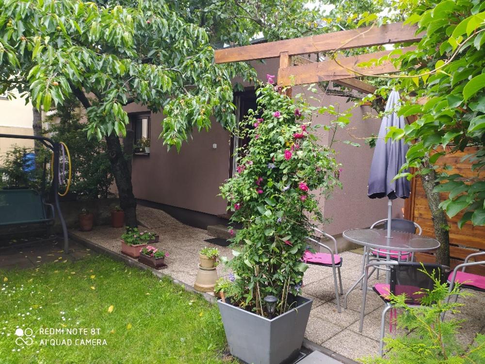 Apartment Garden