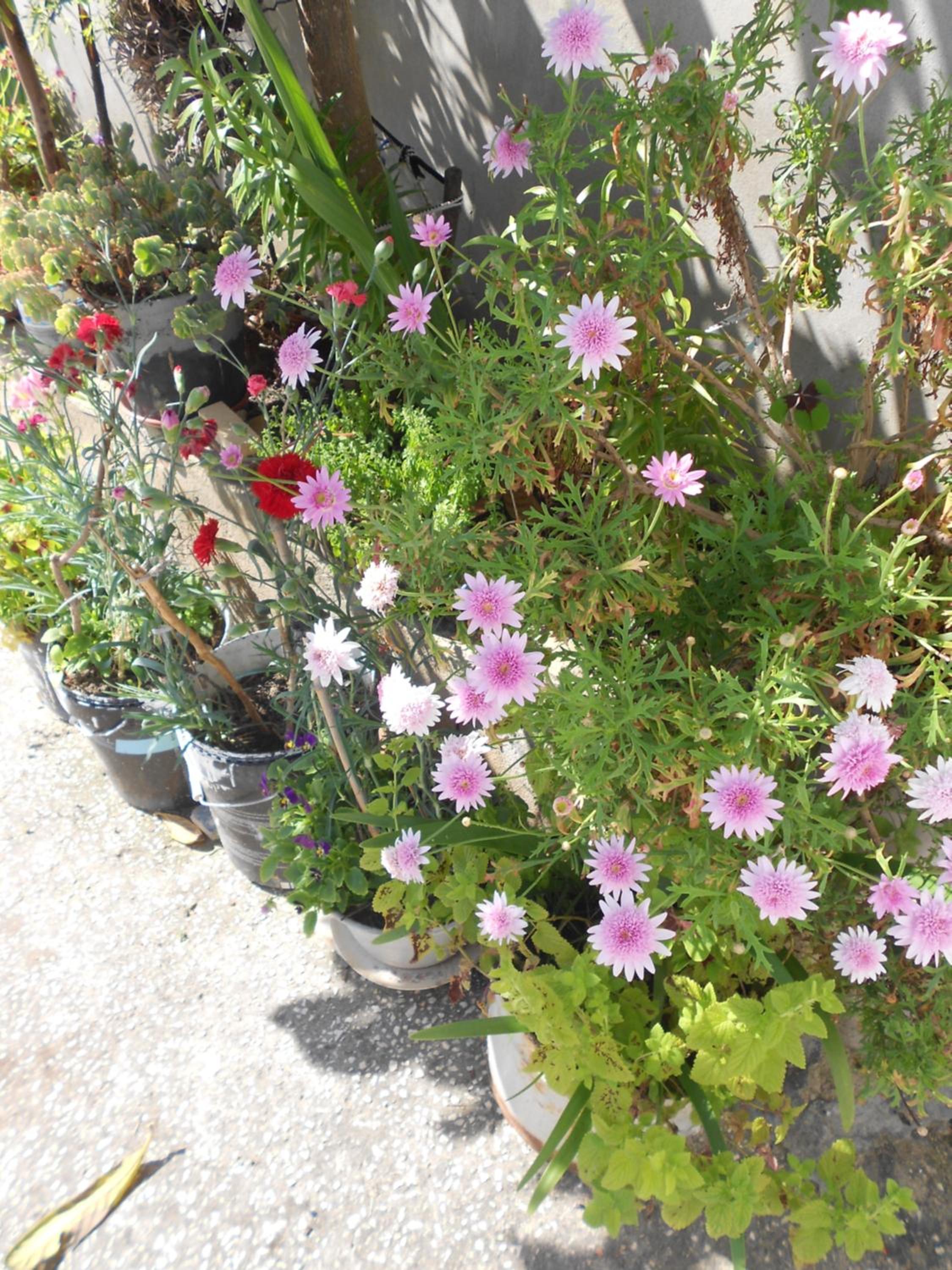 Photo 40