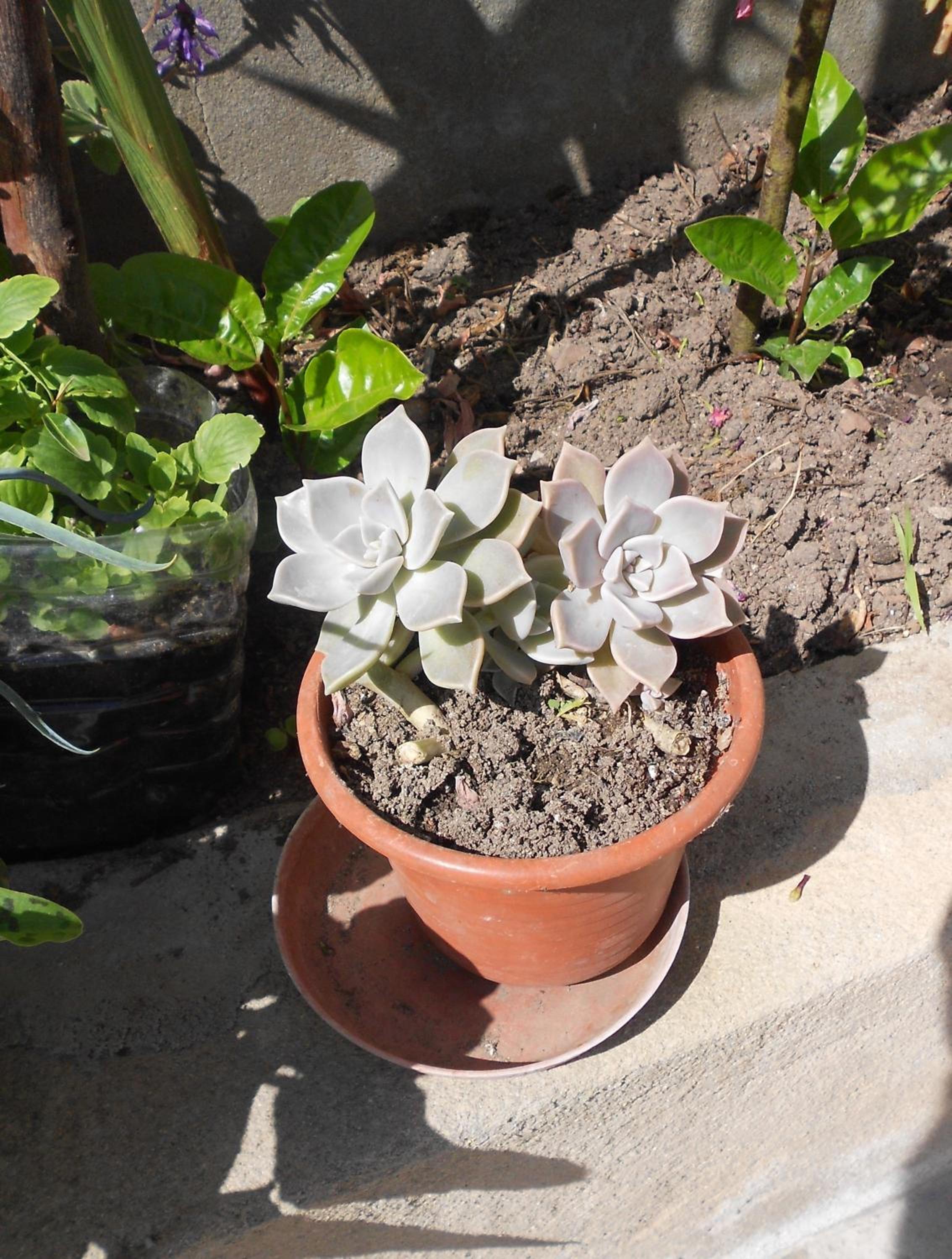 Photo 37