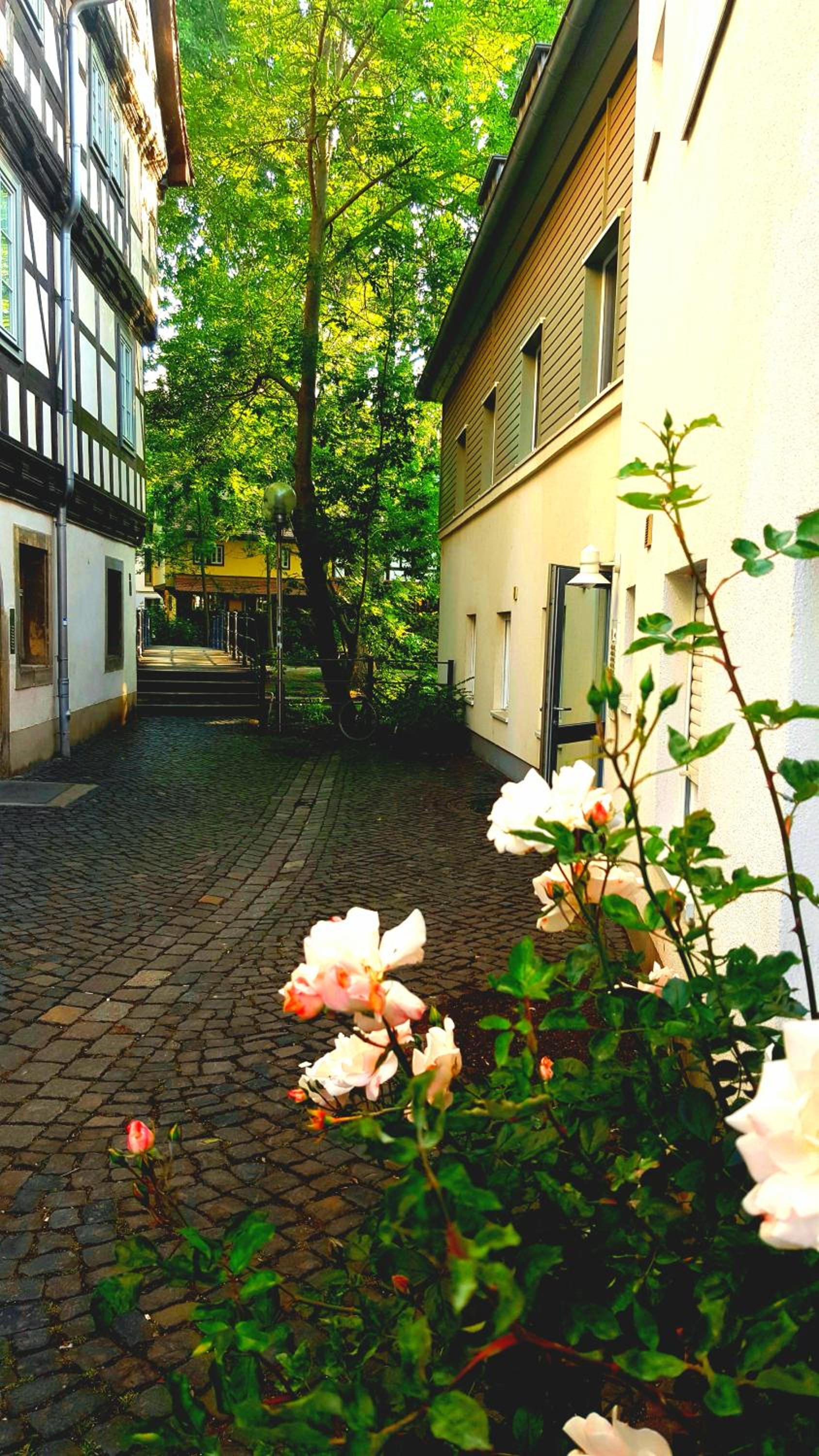 Altstadtapartment an der Krämerbrücke Nr.2