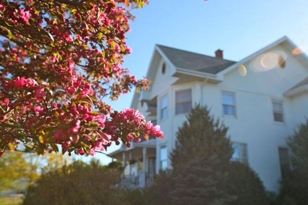 Twin Peaks B&B