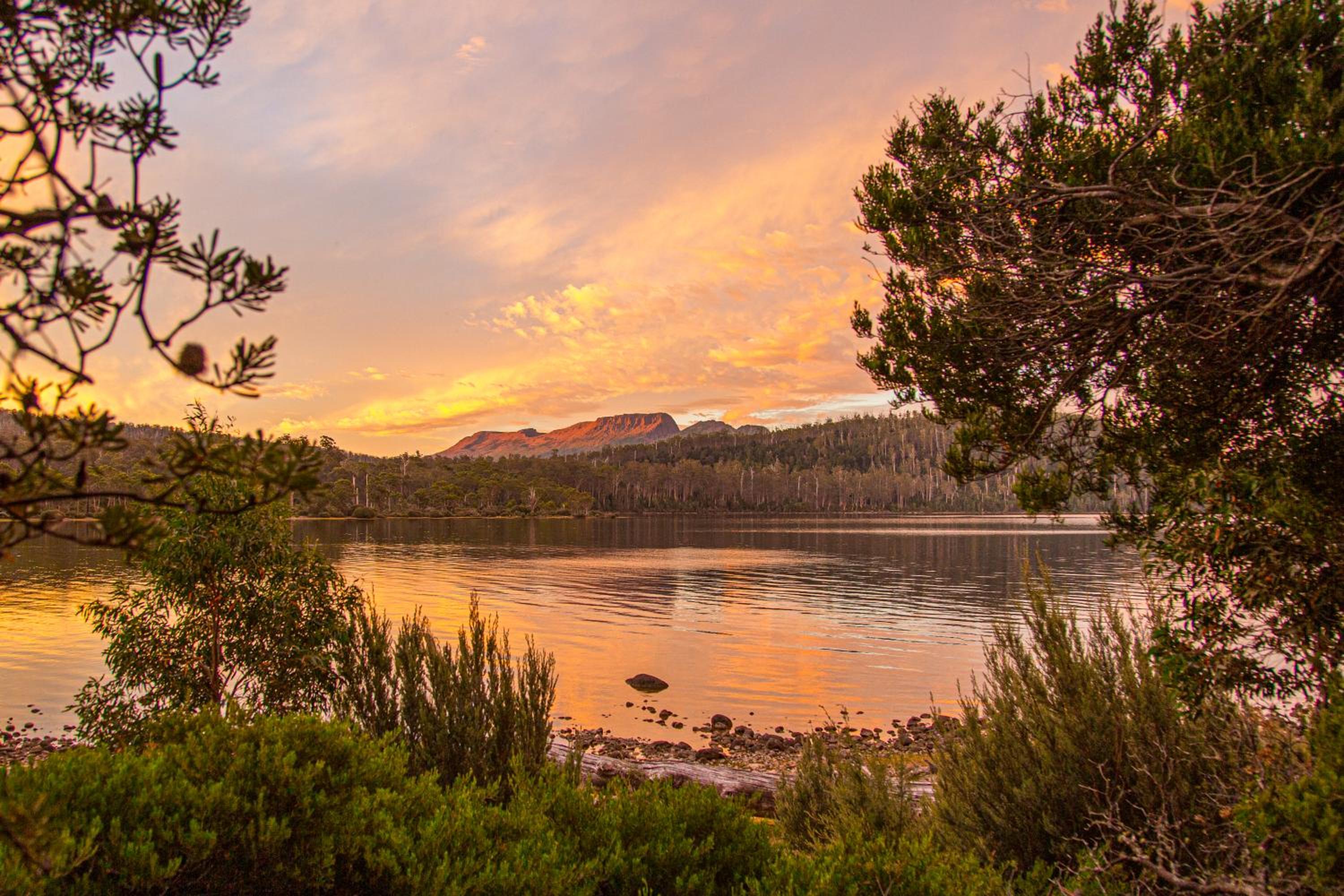 Lake St Clair Lodge