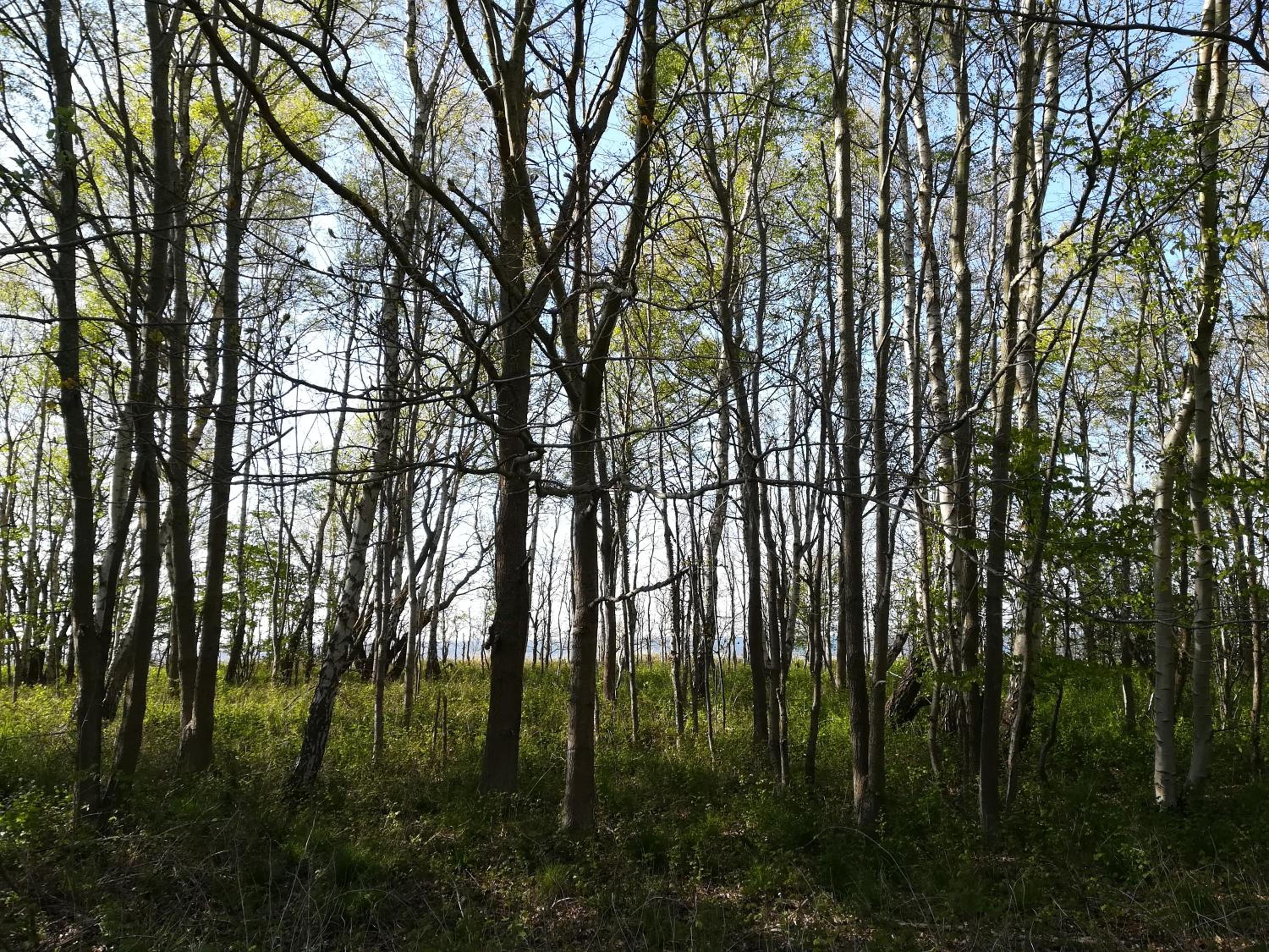 Photo 19