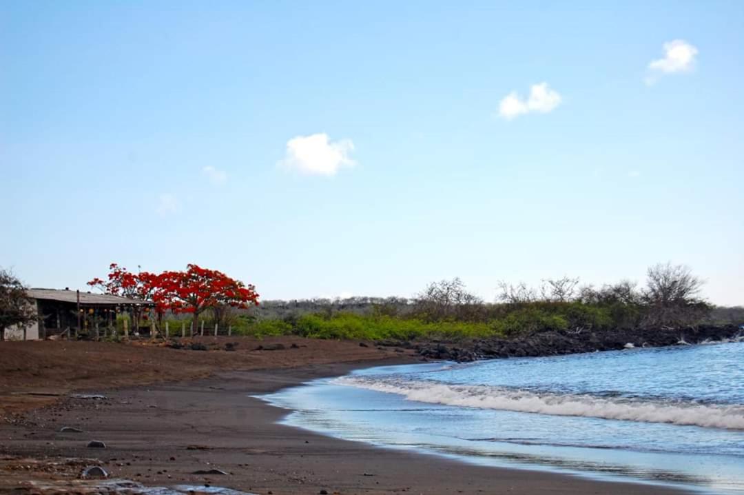 Black Beach House view 4