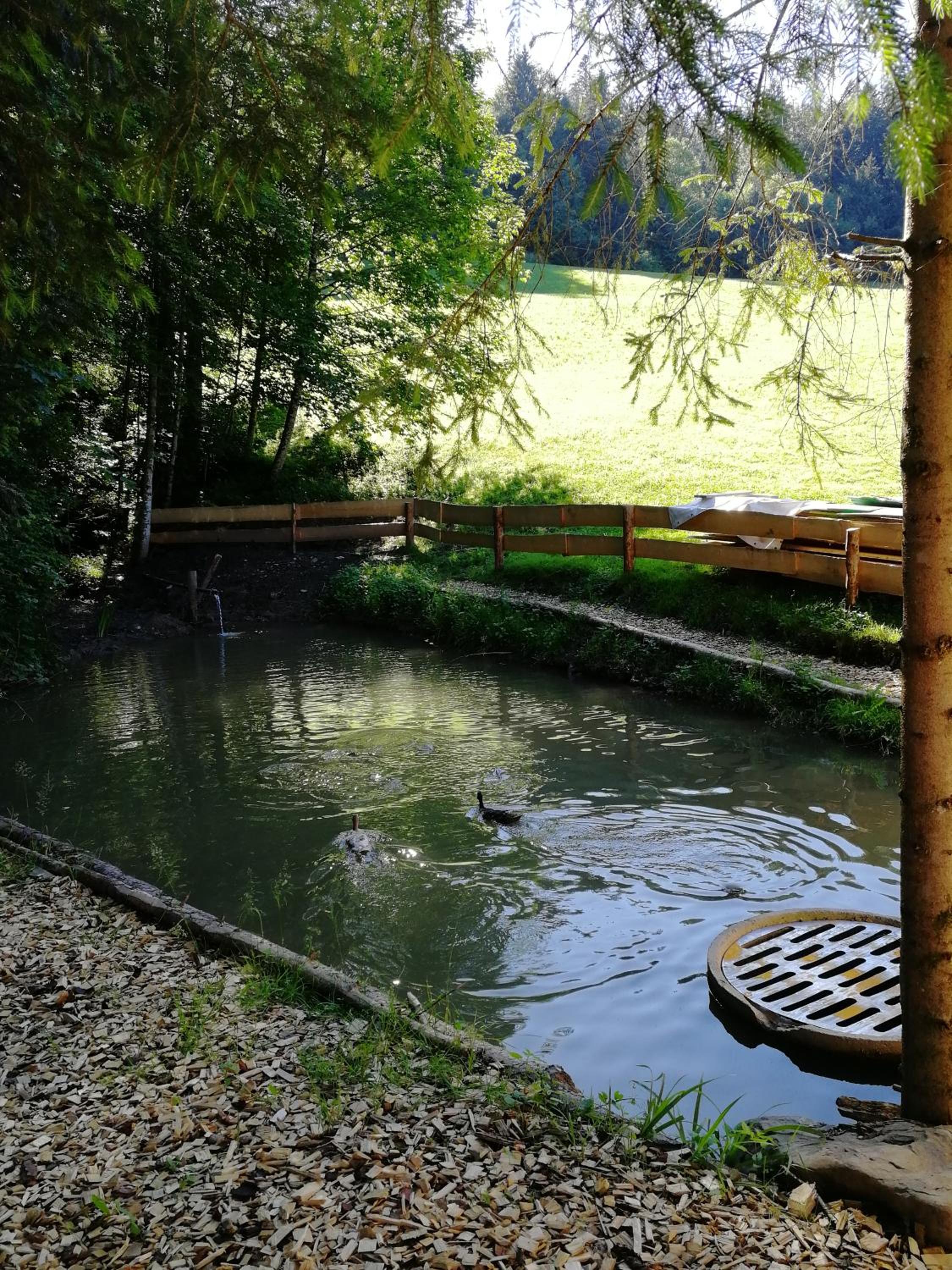 Ferienhaus am Waldrand von Egg Bregenzer Wald