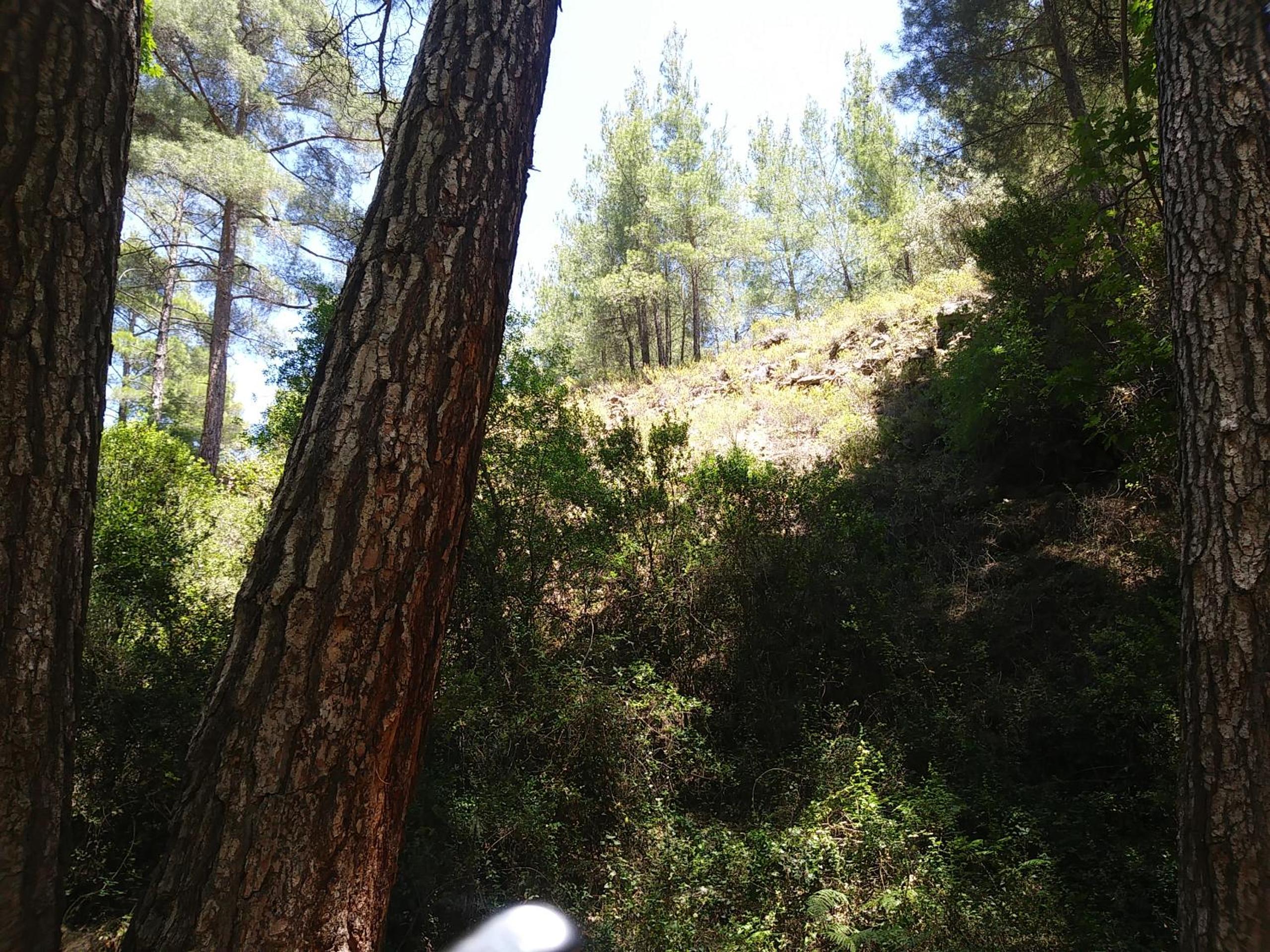 The Spidaki