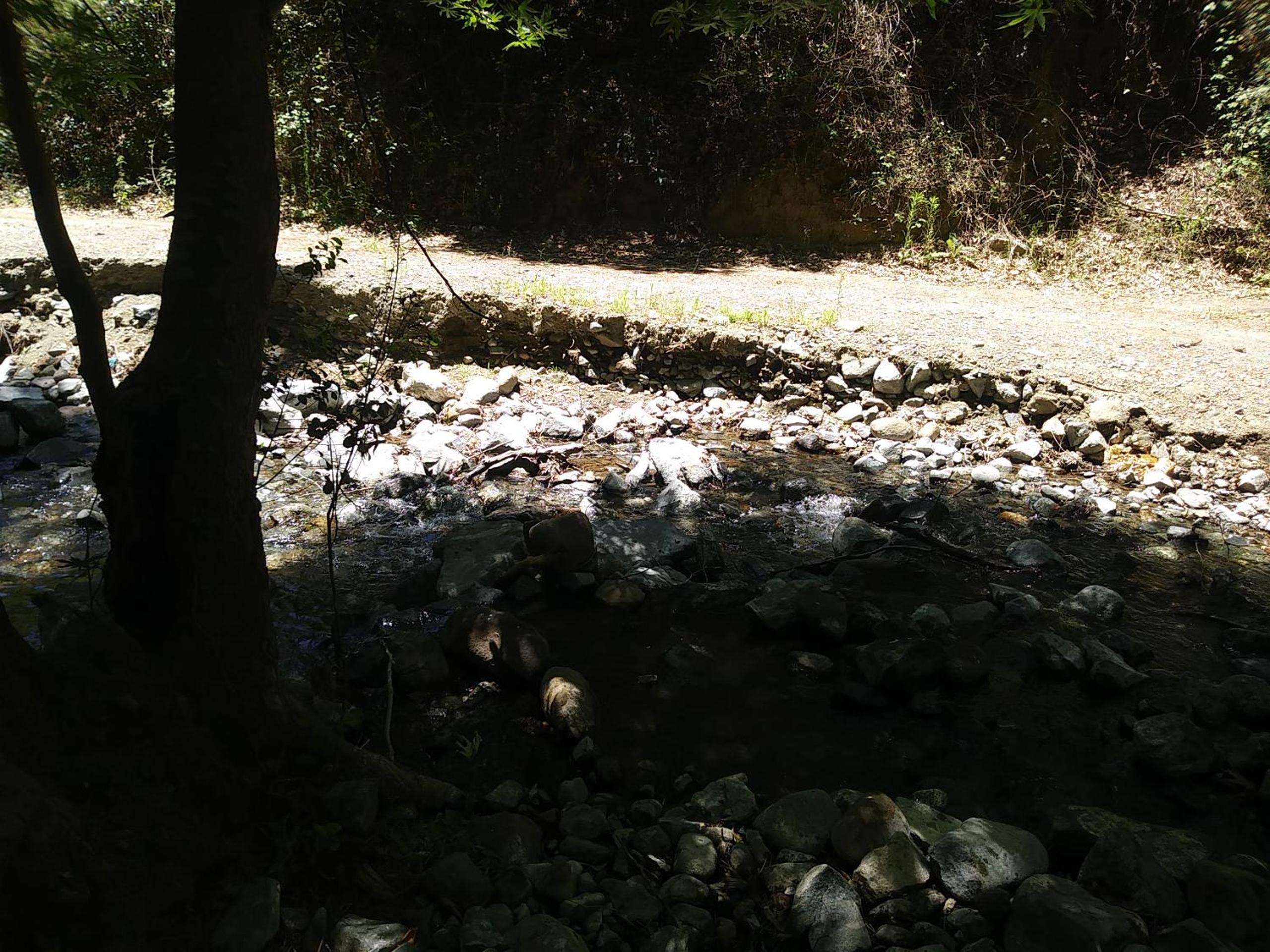 The Spidaki