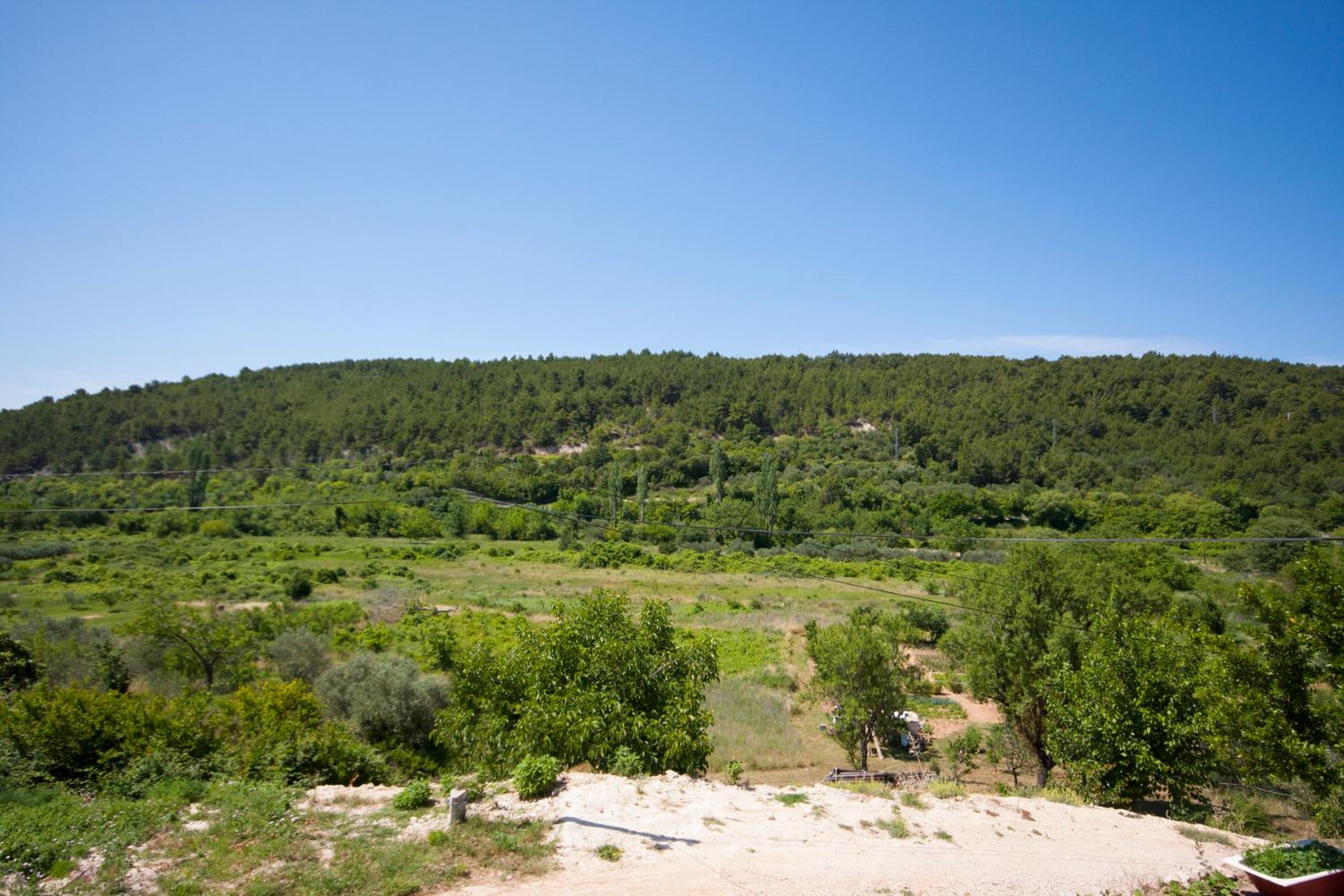 Photo 47