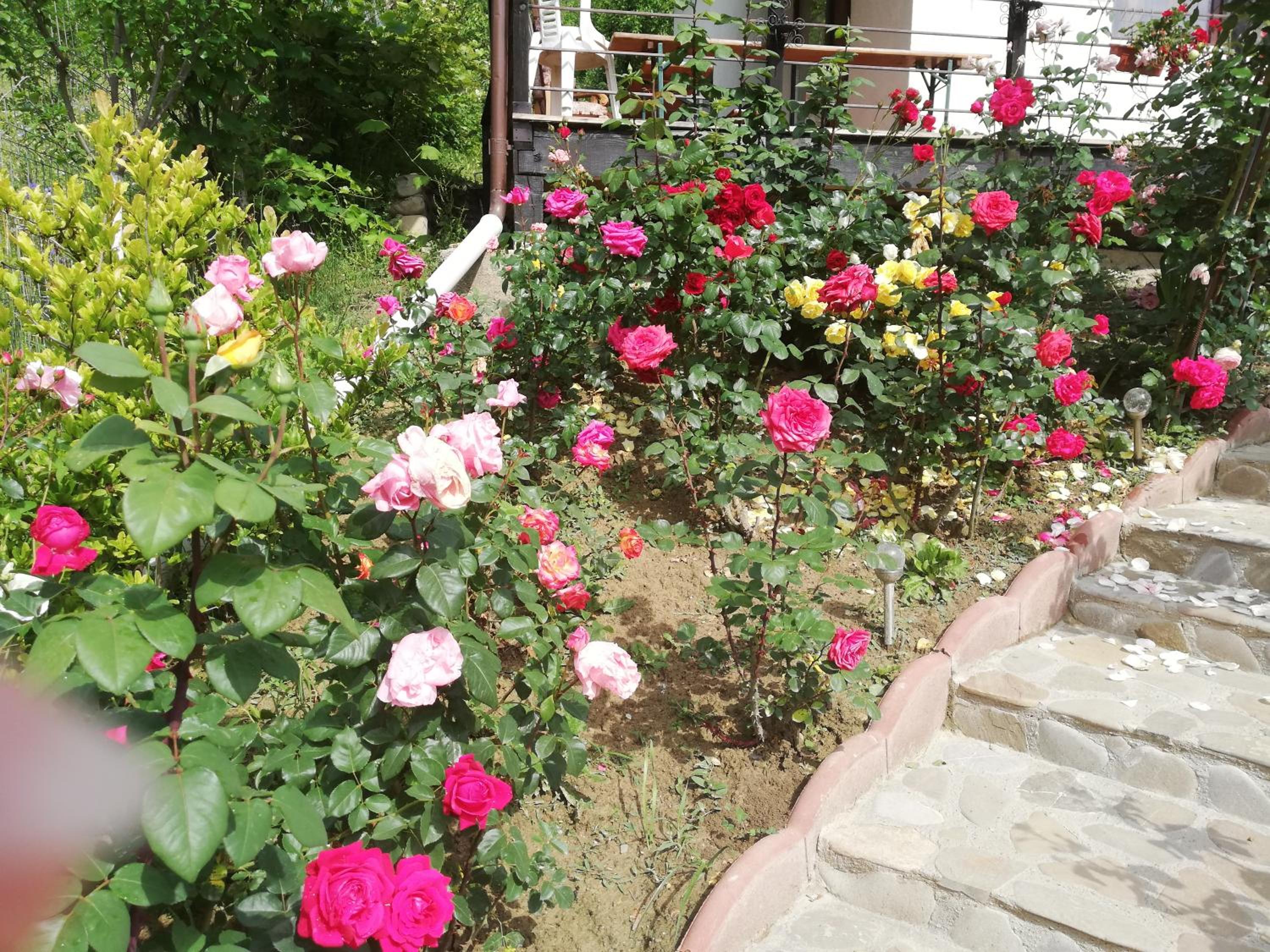 Photo 40