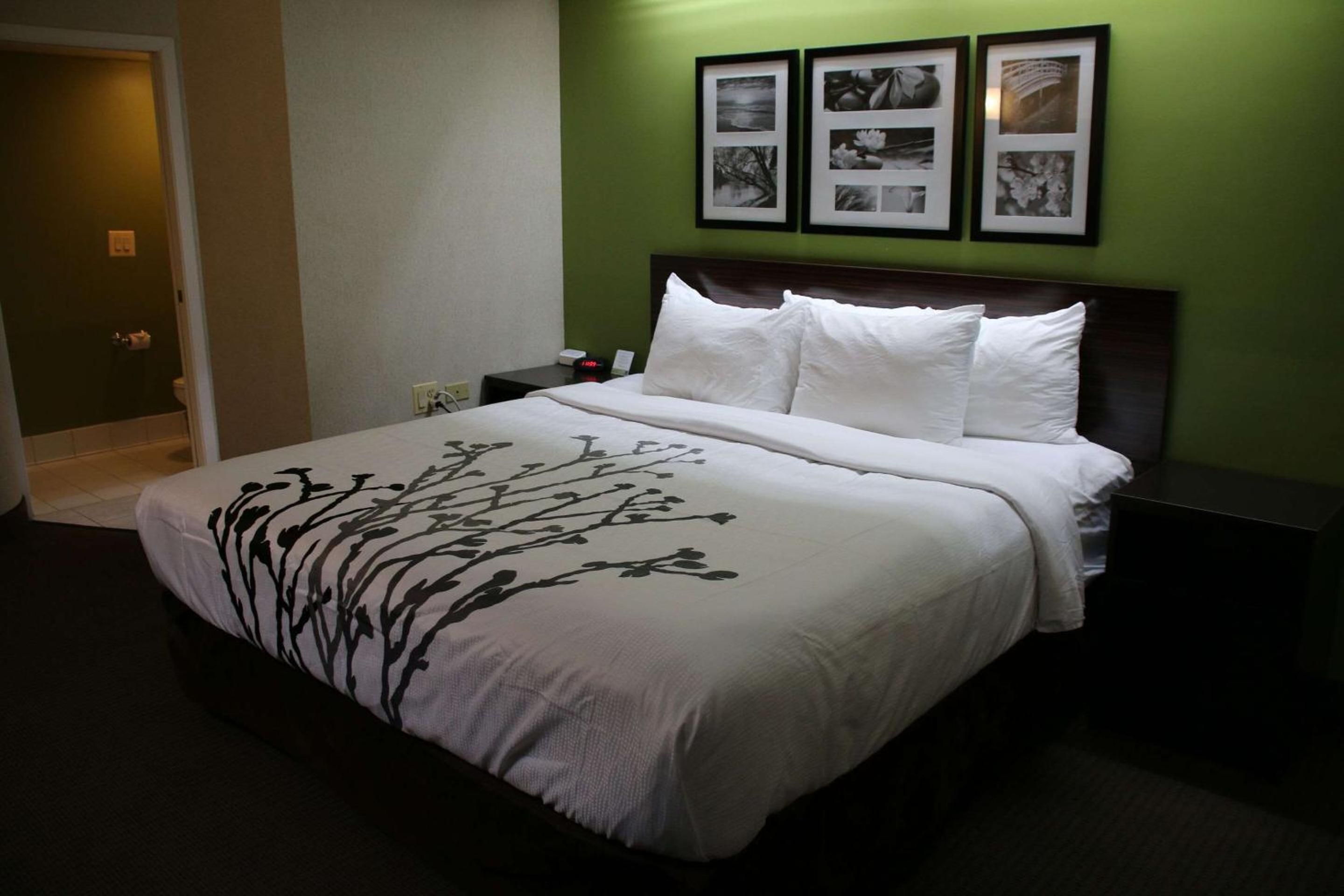 Photo 9