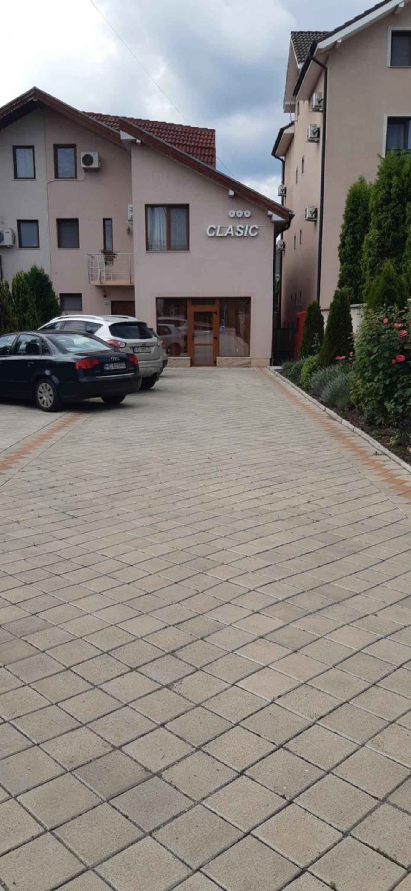 Pensiunea Clasic Hunedoara view 2