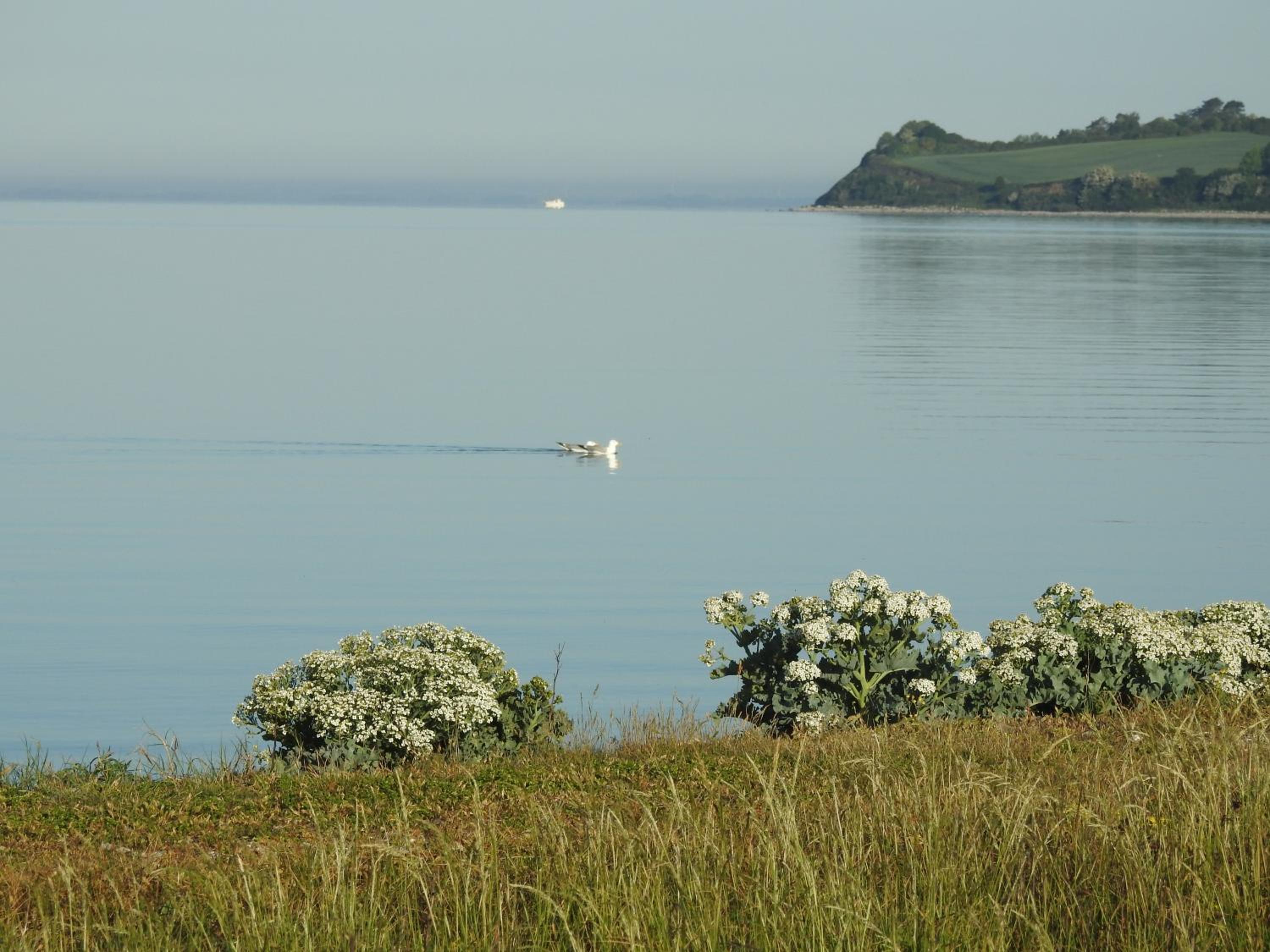 Aa Strand Camping view 3