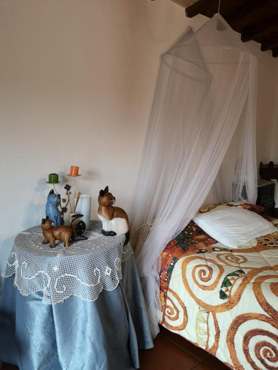 Fragolina Per Due photo 4