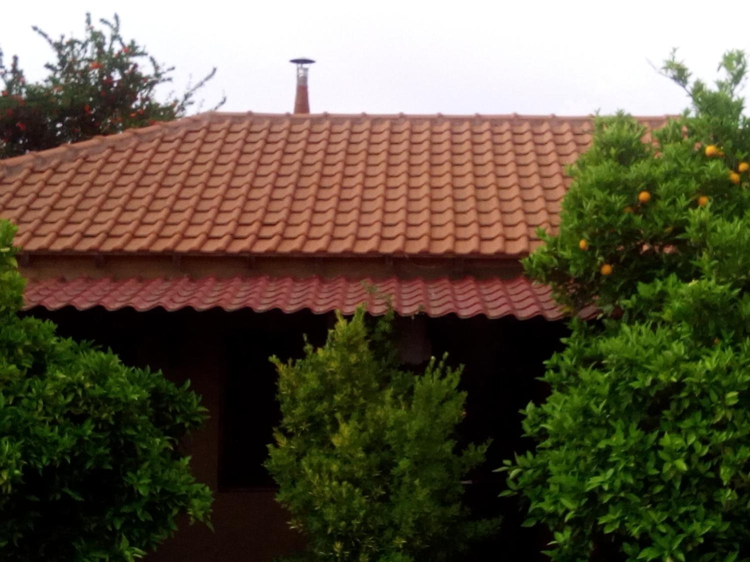 Photo 40