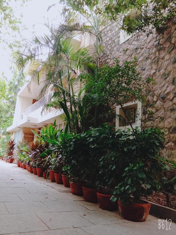 Hanu Reddy Residences Wallace Garden