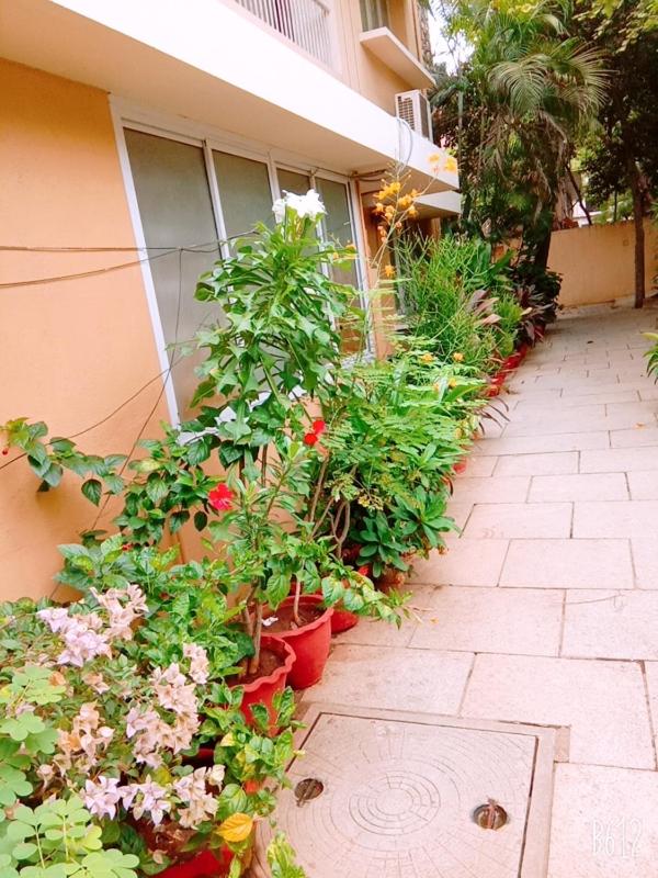 Hanu Reddy Residences Wallace Garden