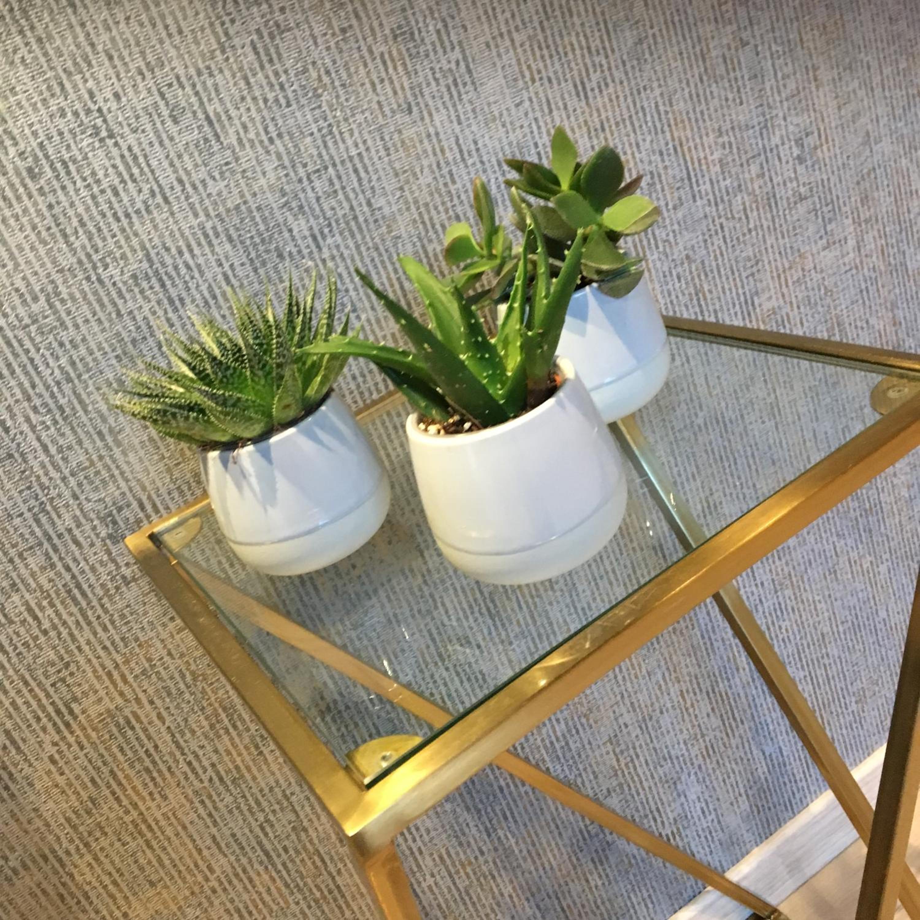 Urban Nest