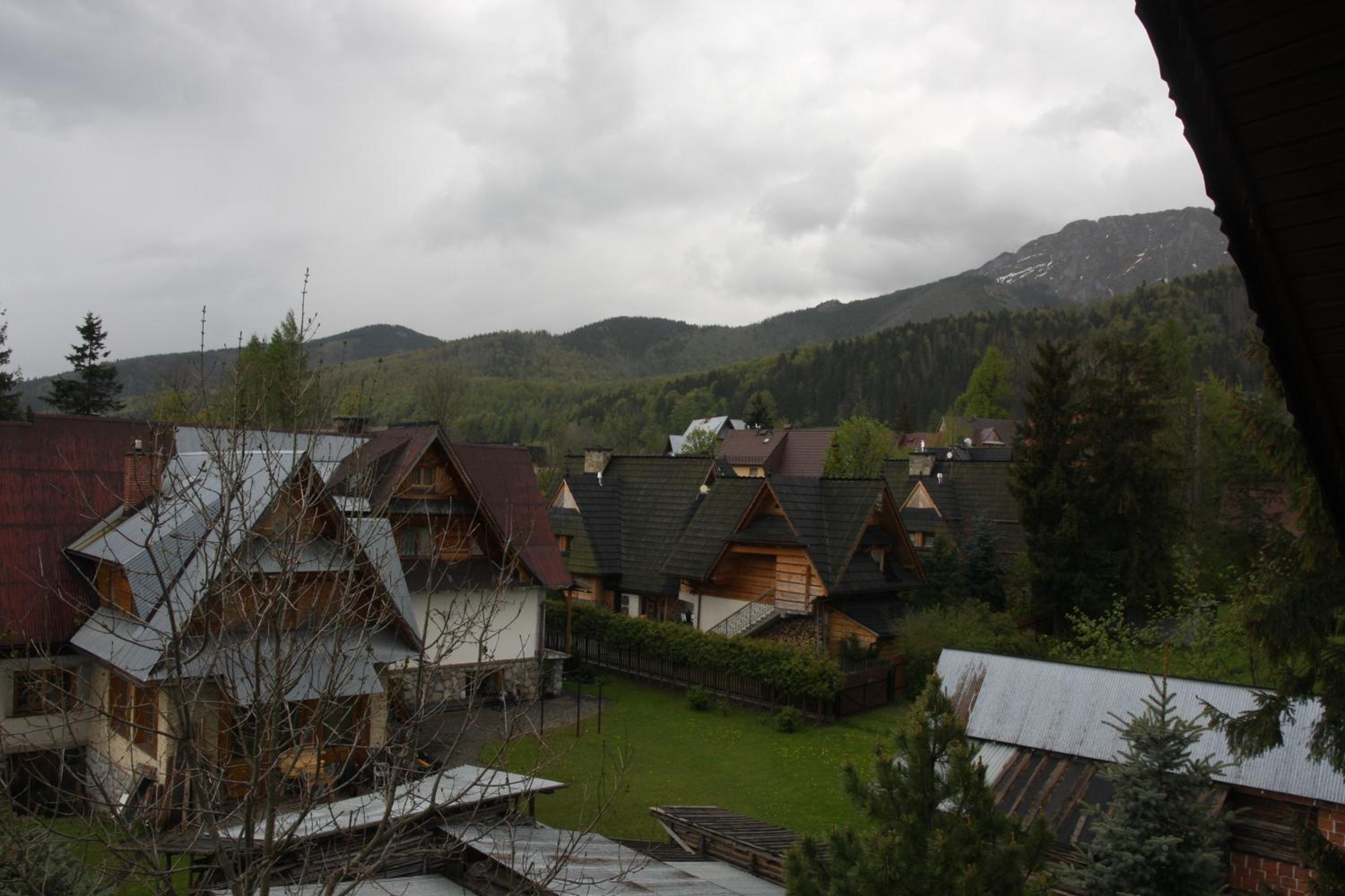 Willa Senator view 5