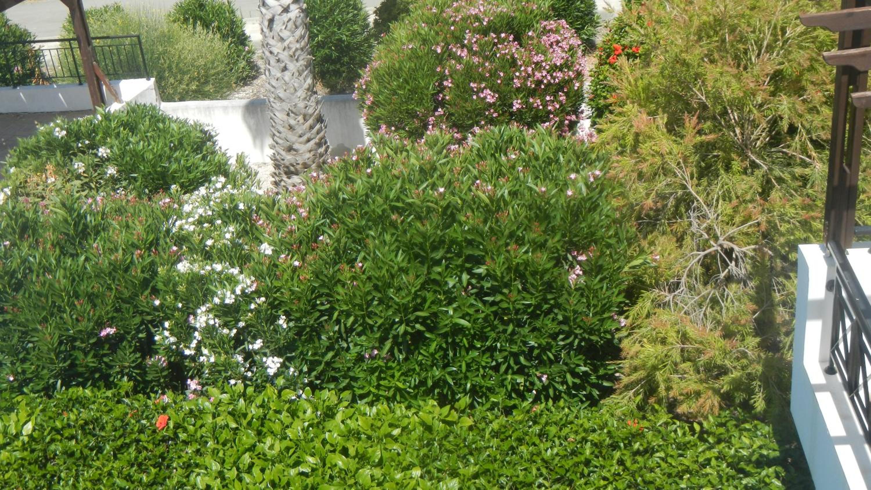 Photo 25