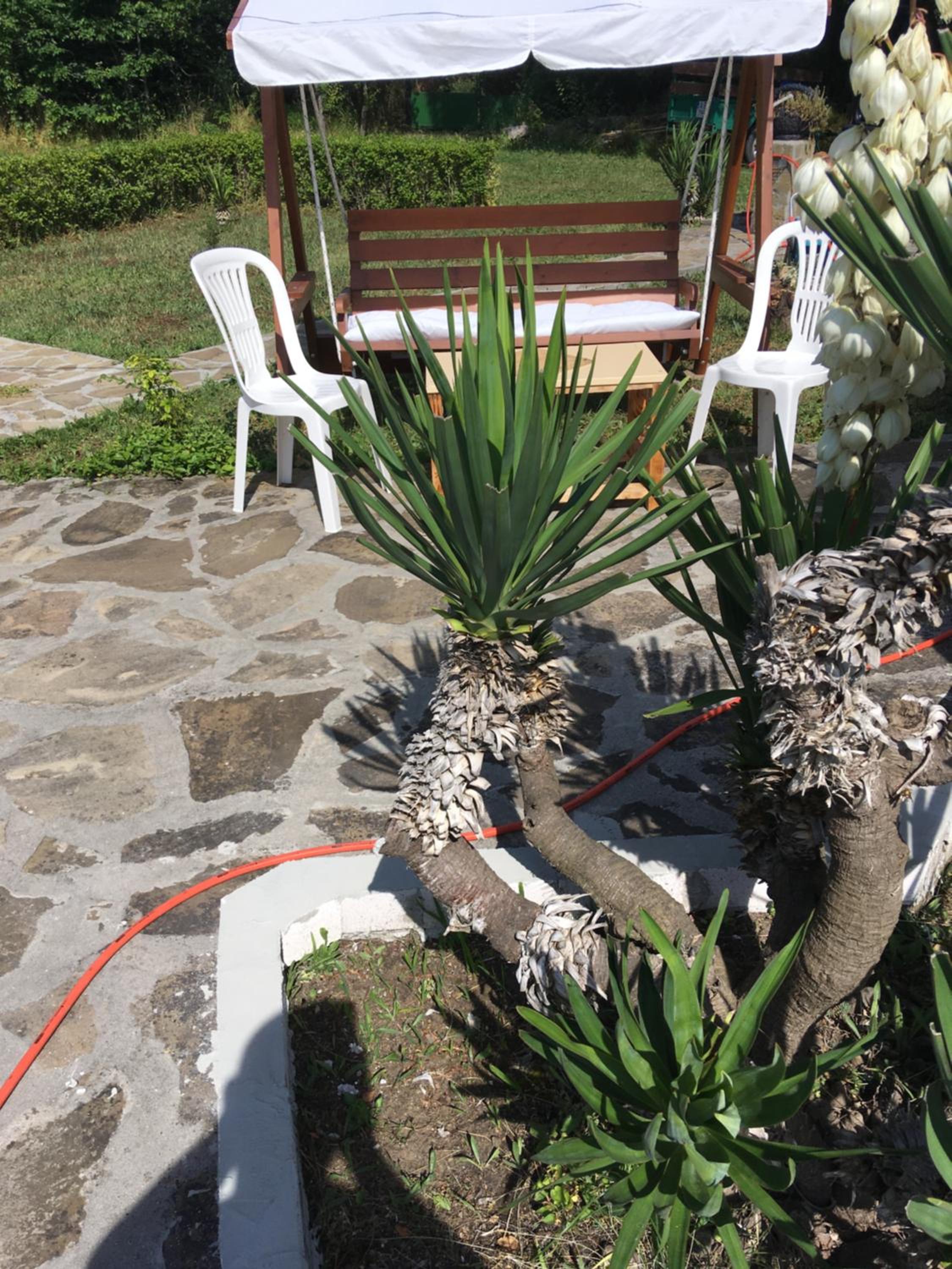 Guest House Maria