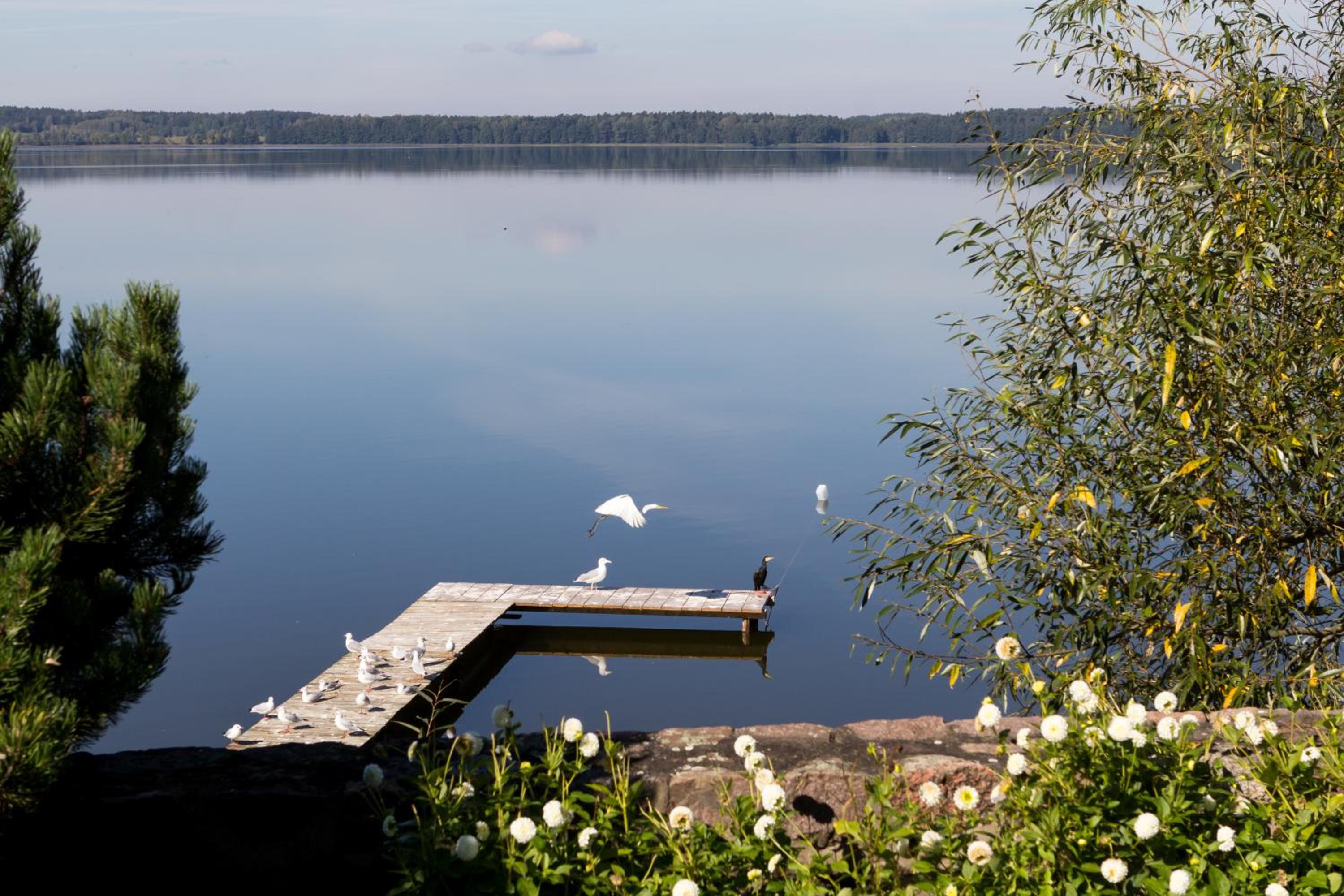 Photo 43
