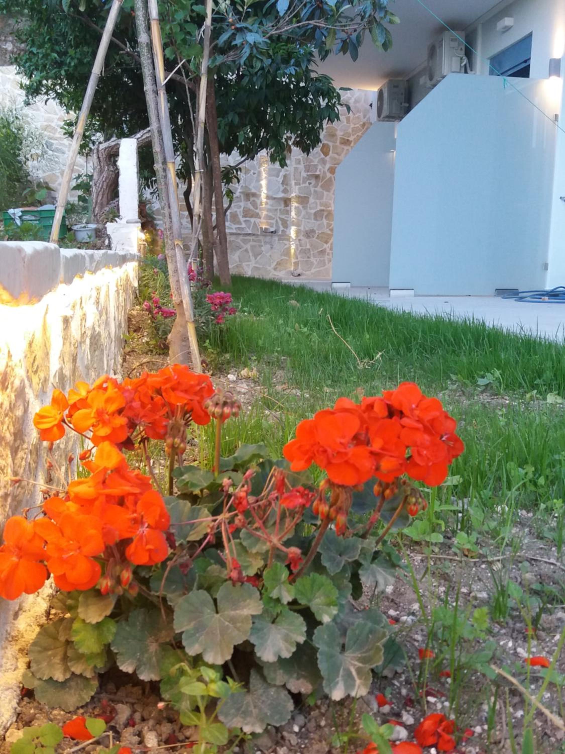 Photo 57