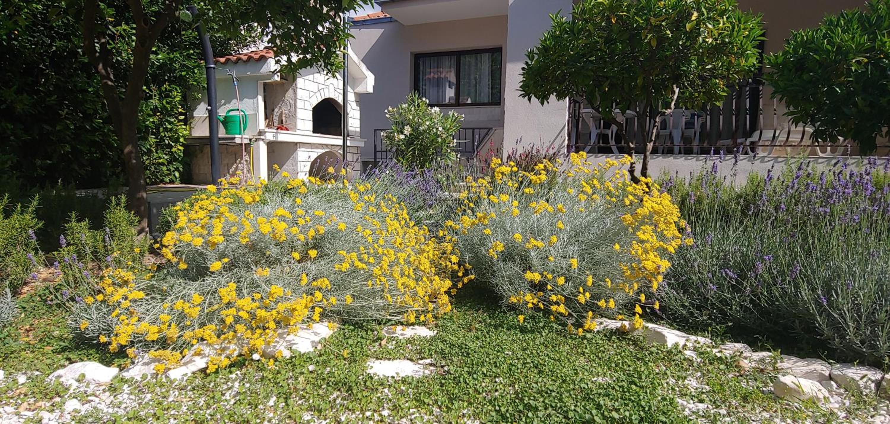 Photo 28