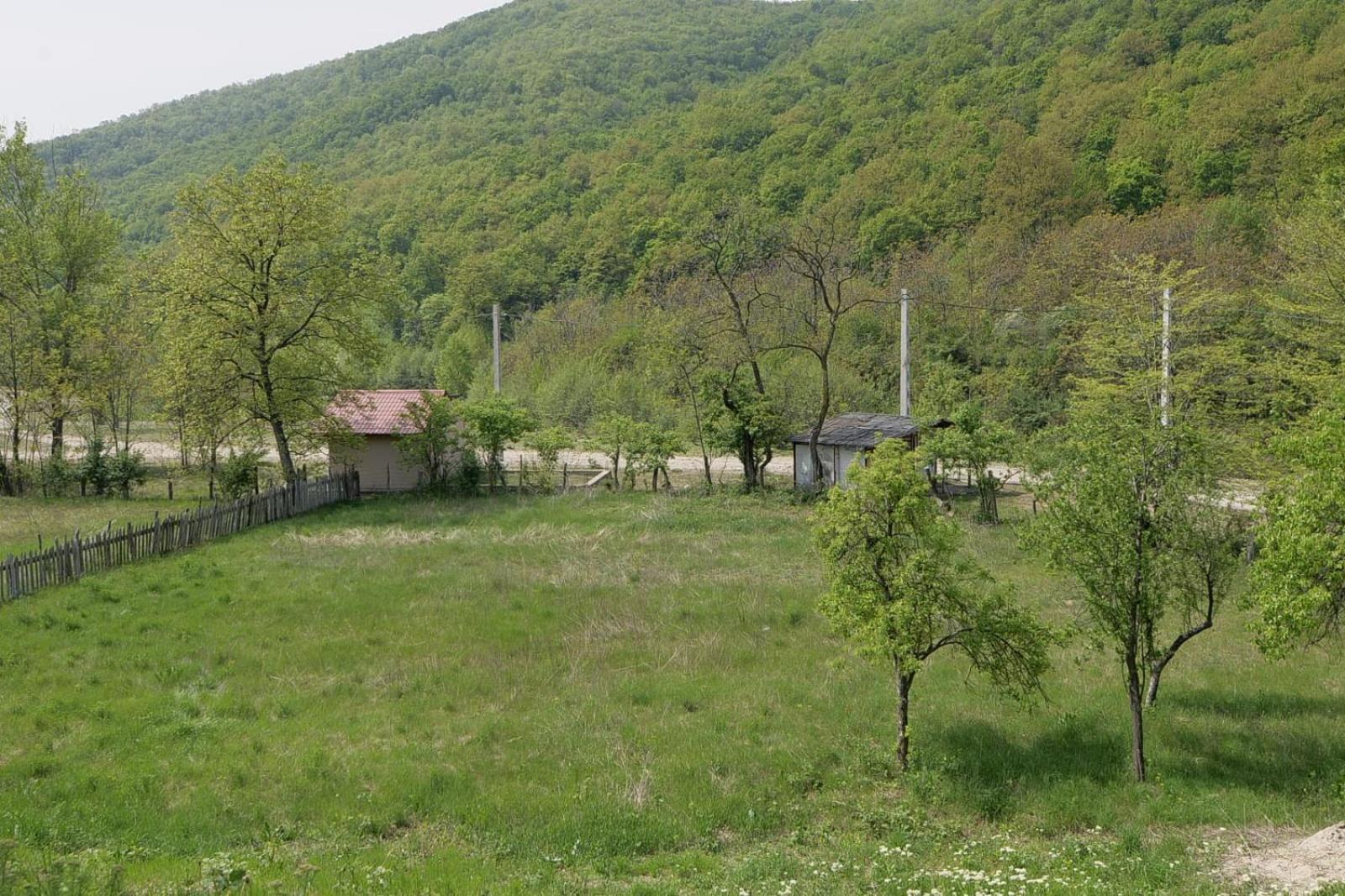 Photo 20