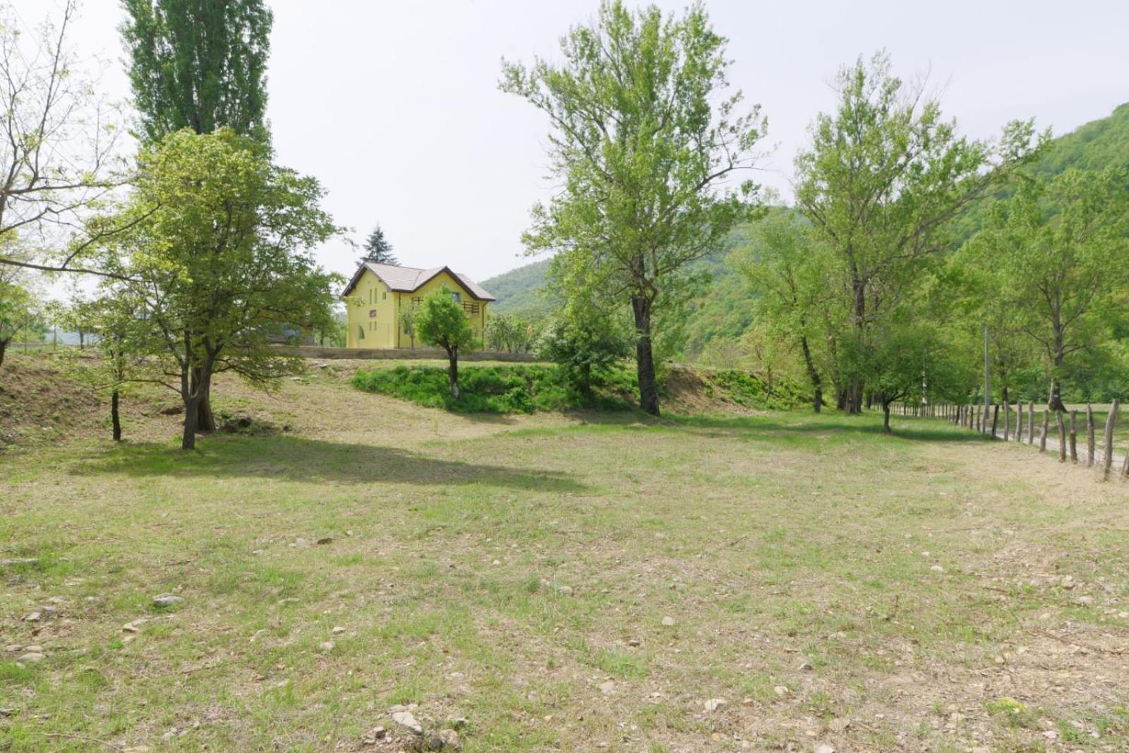 Photo 24