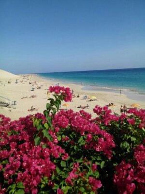 Paradis view 4