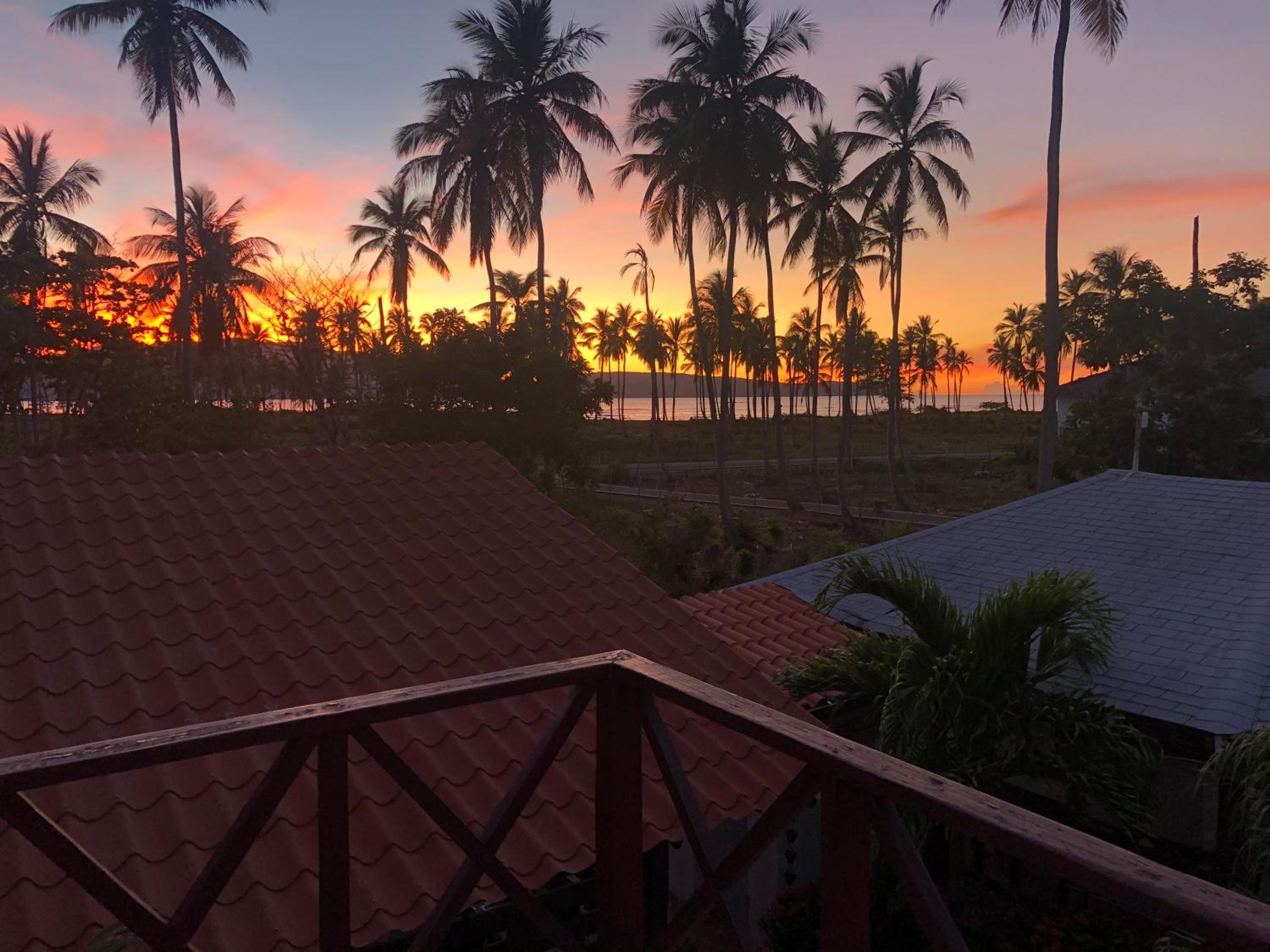 21 Palms