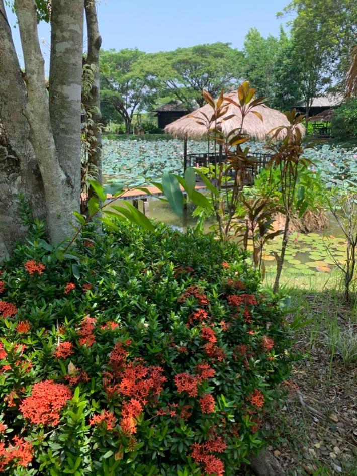 Baan Chai Thung Resort