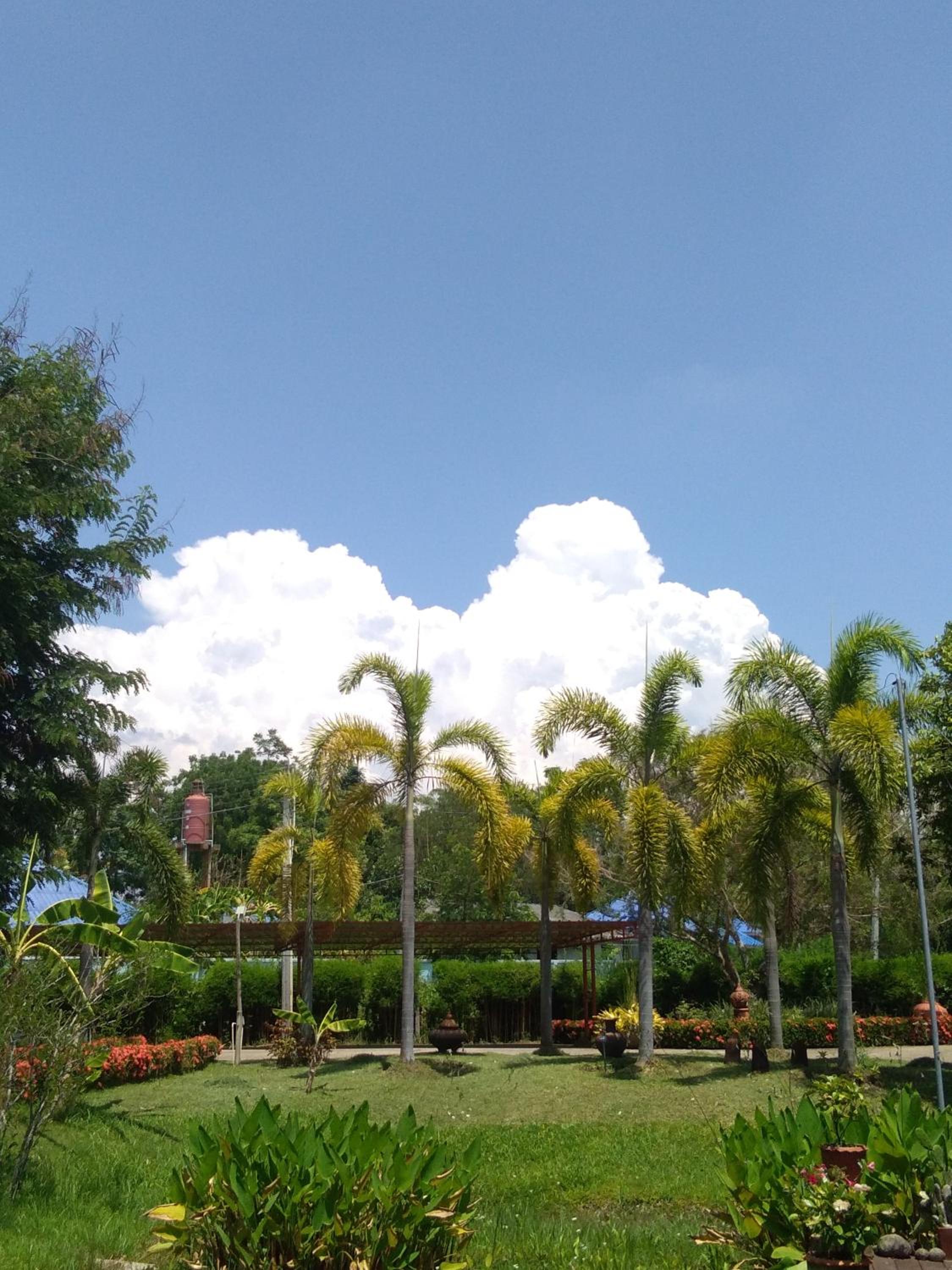 Baan Chai Thung Resort