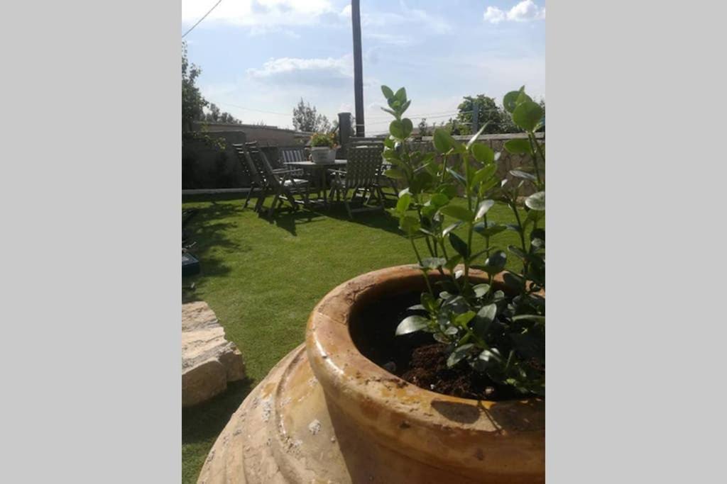 Elia Villa - Aegina, Souvala view 4