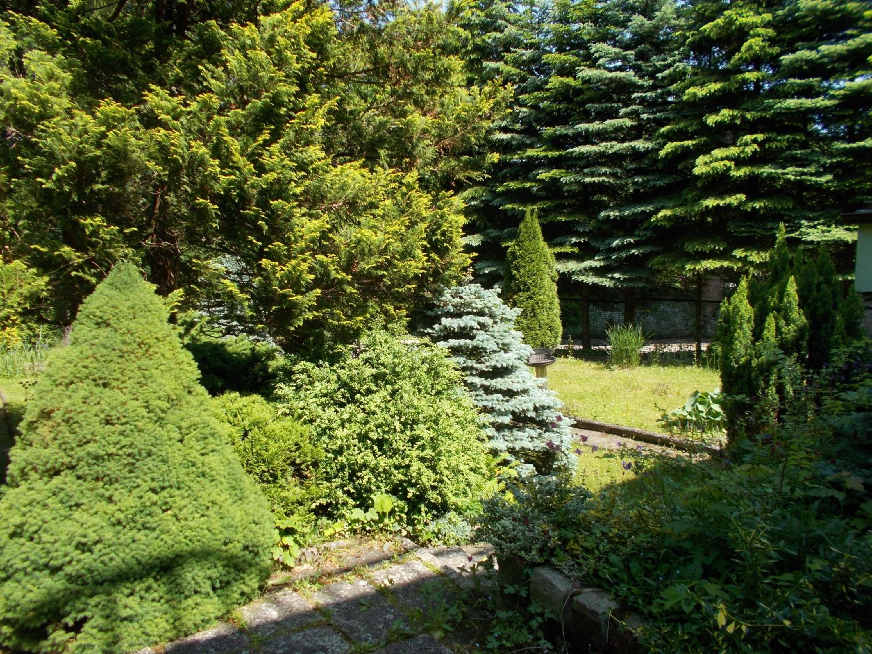 Photo 32