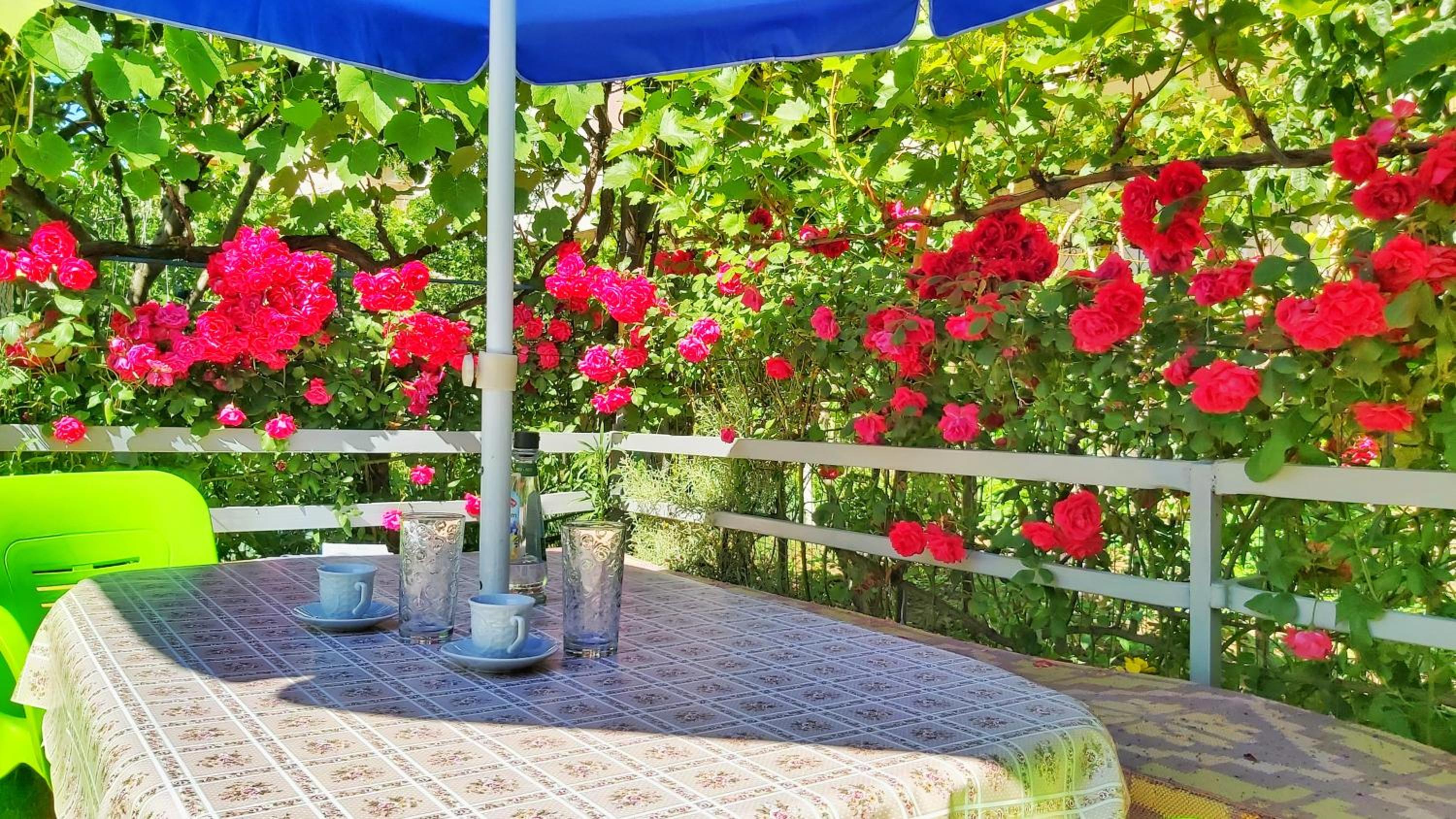 Guest House Pogradeci Lake Walk