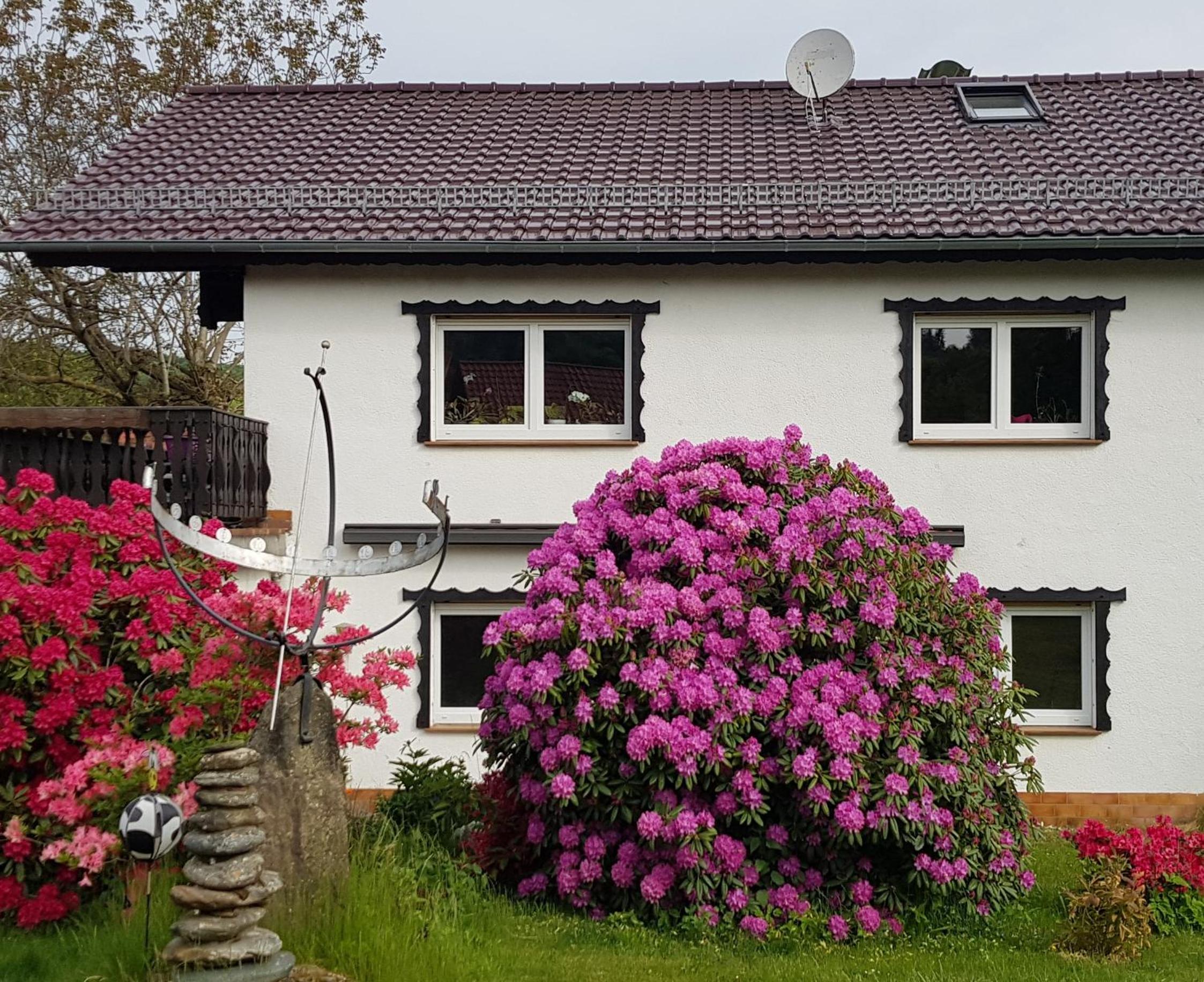 Ferienwohnung Eva view 2