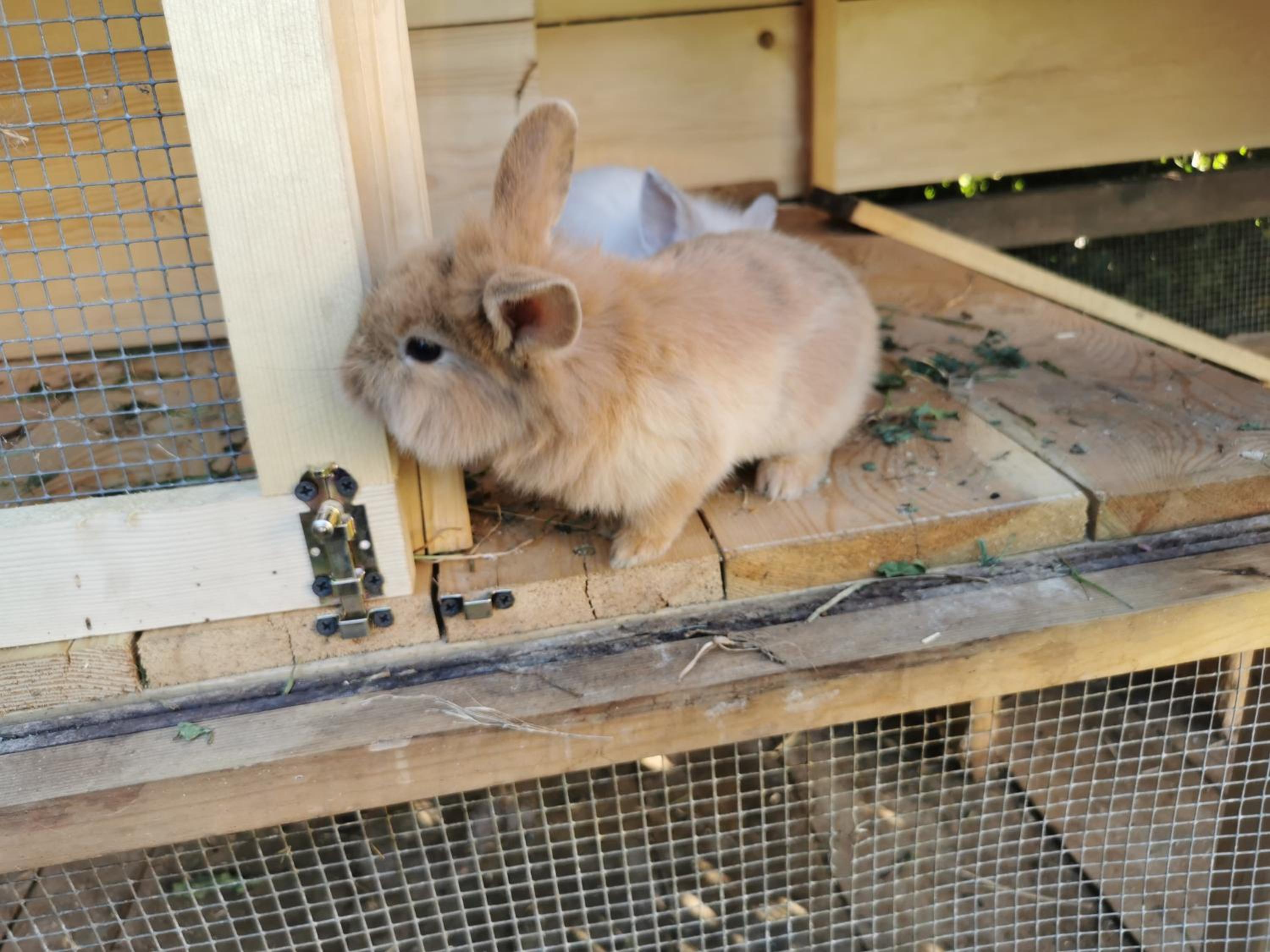 Photo 25