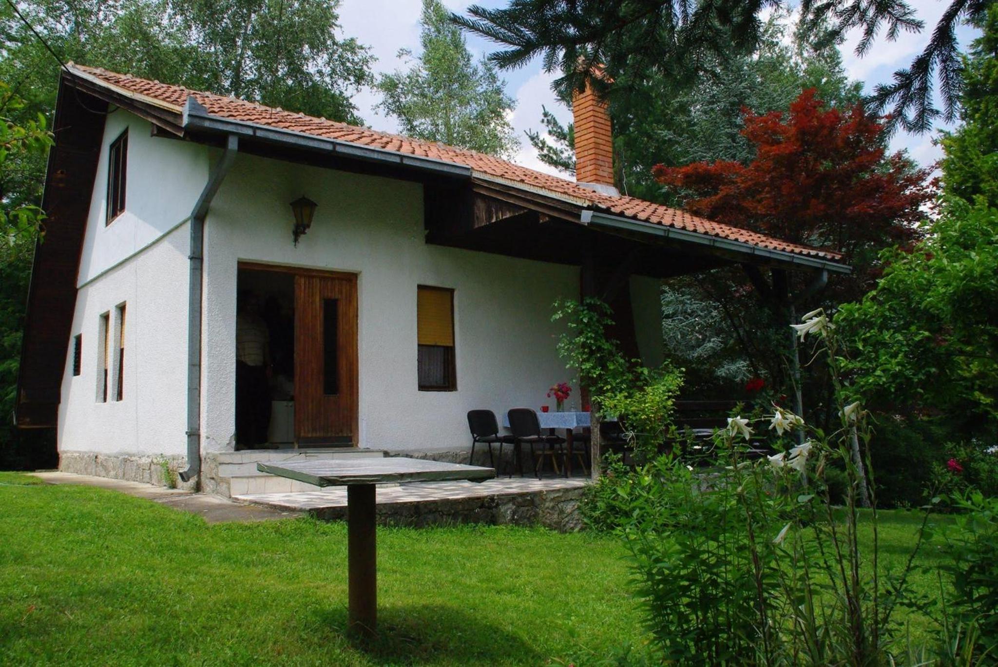 Photo 46