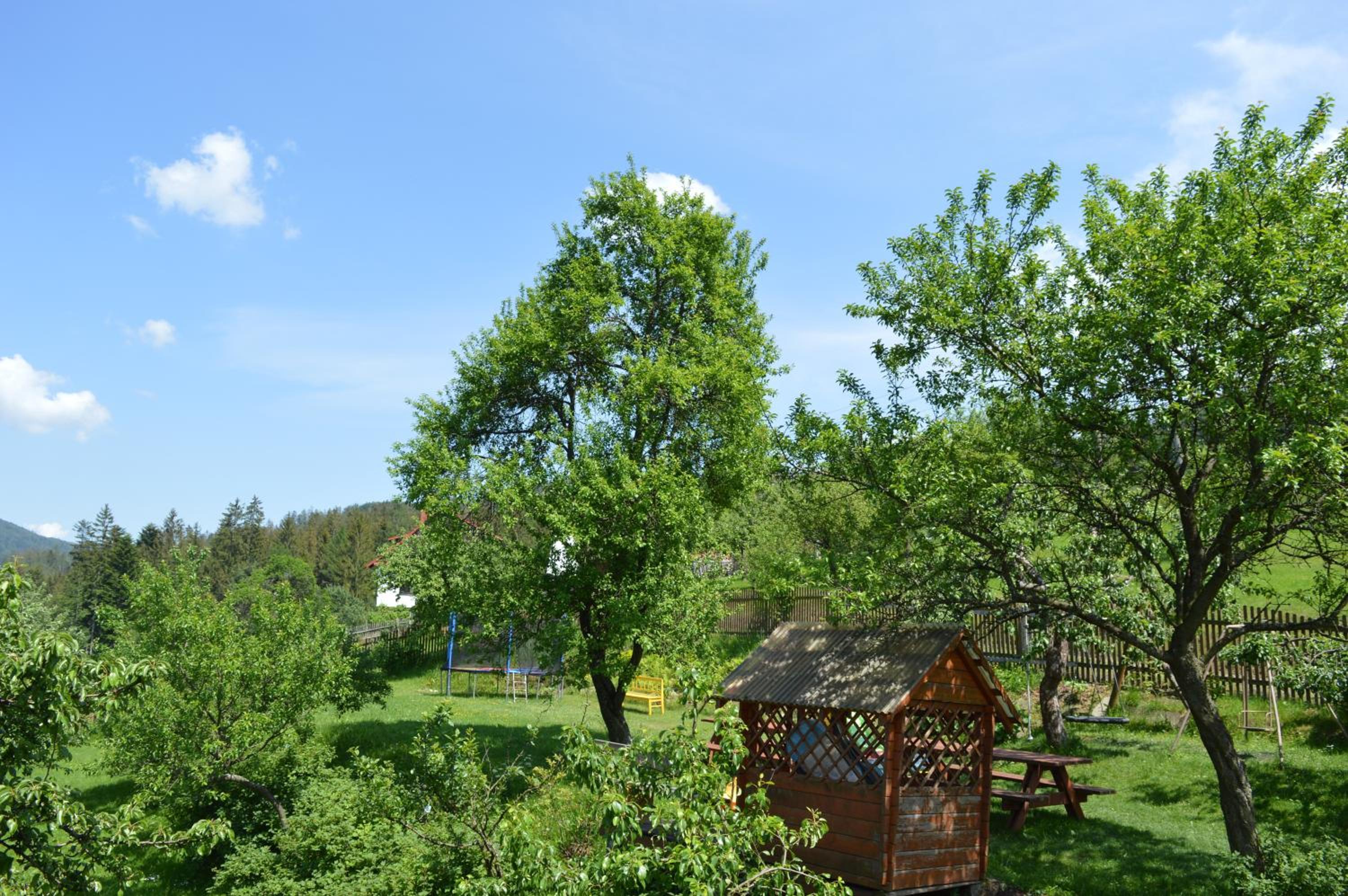 Photo 32