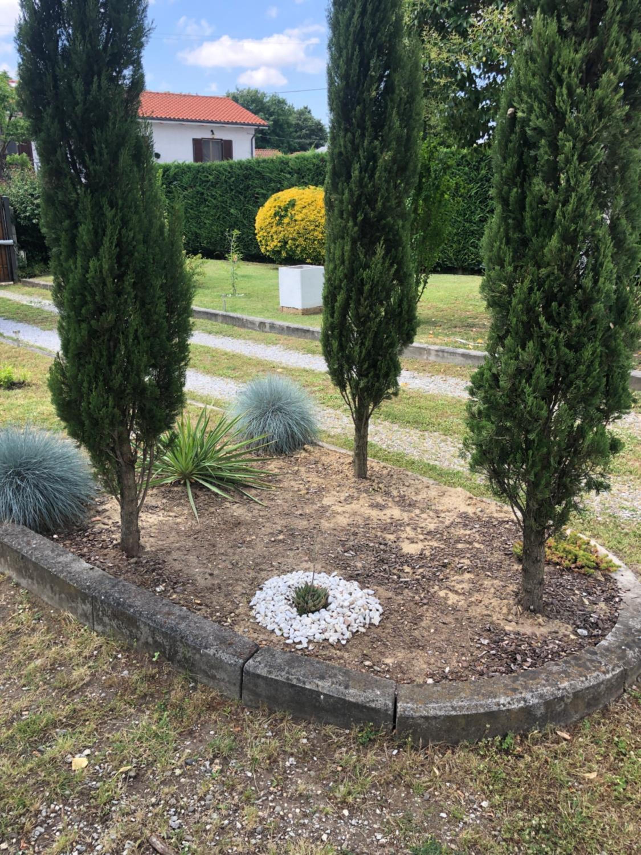 Photo 28