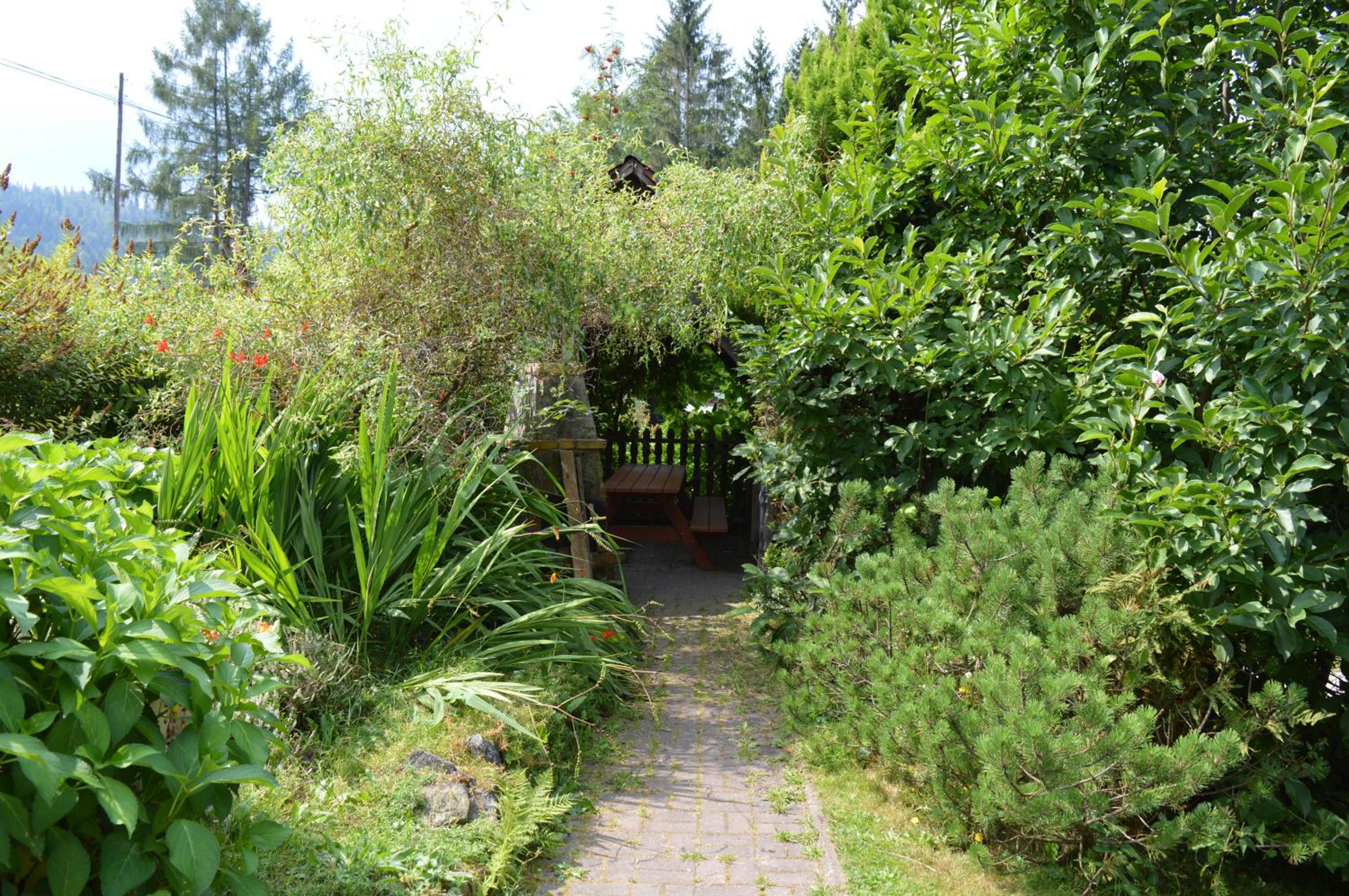 Photo 16