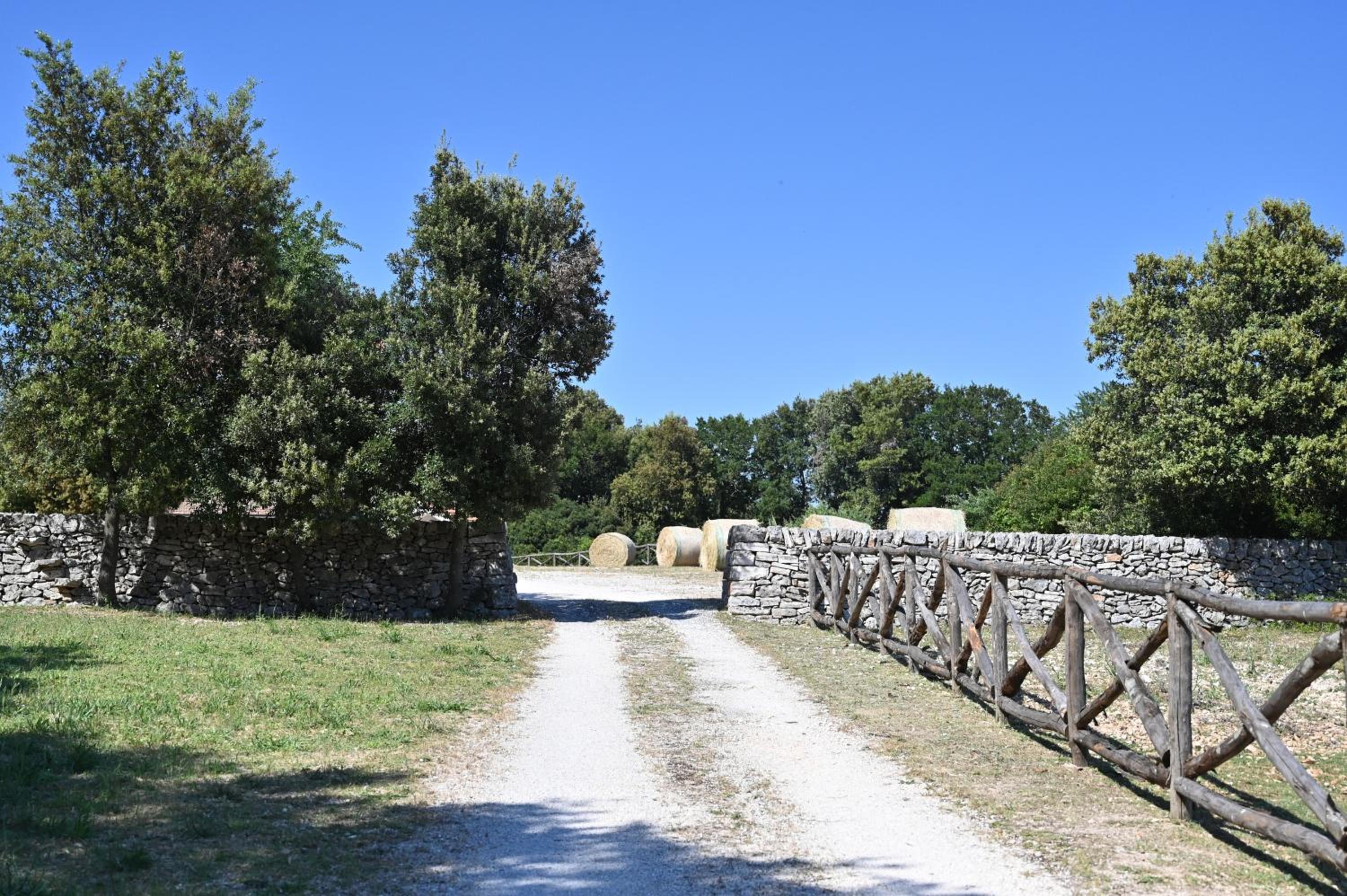 Agriturismo Iazzo Scagno