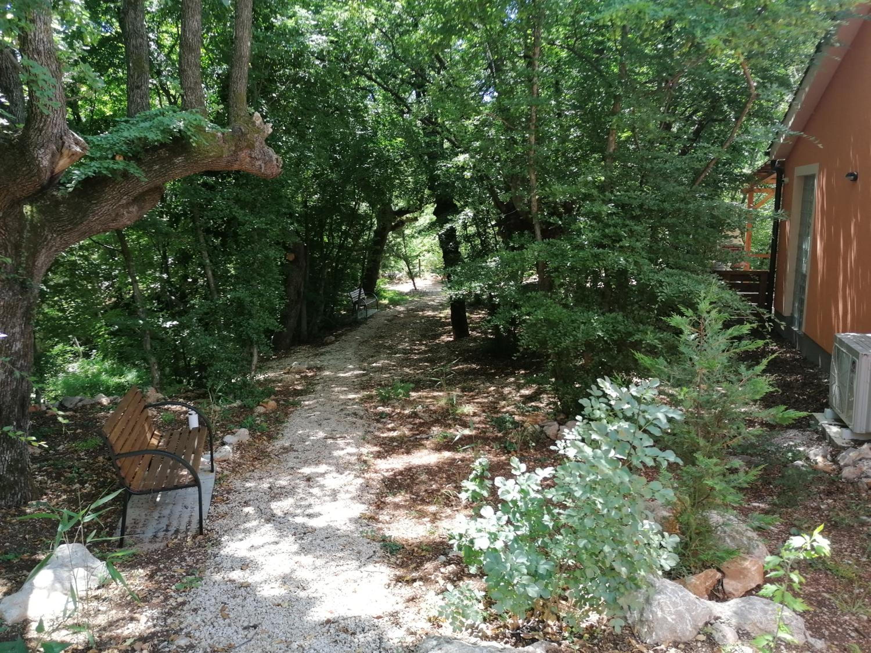 Photo 49