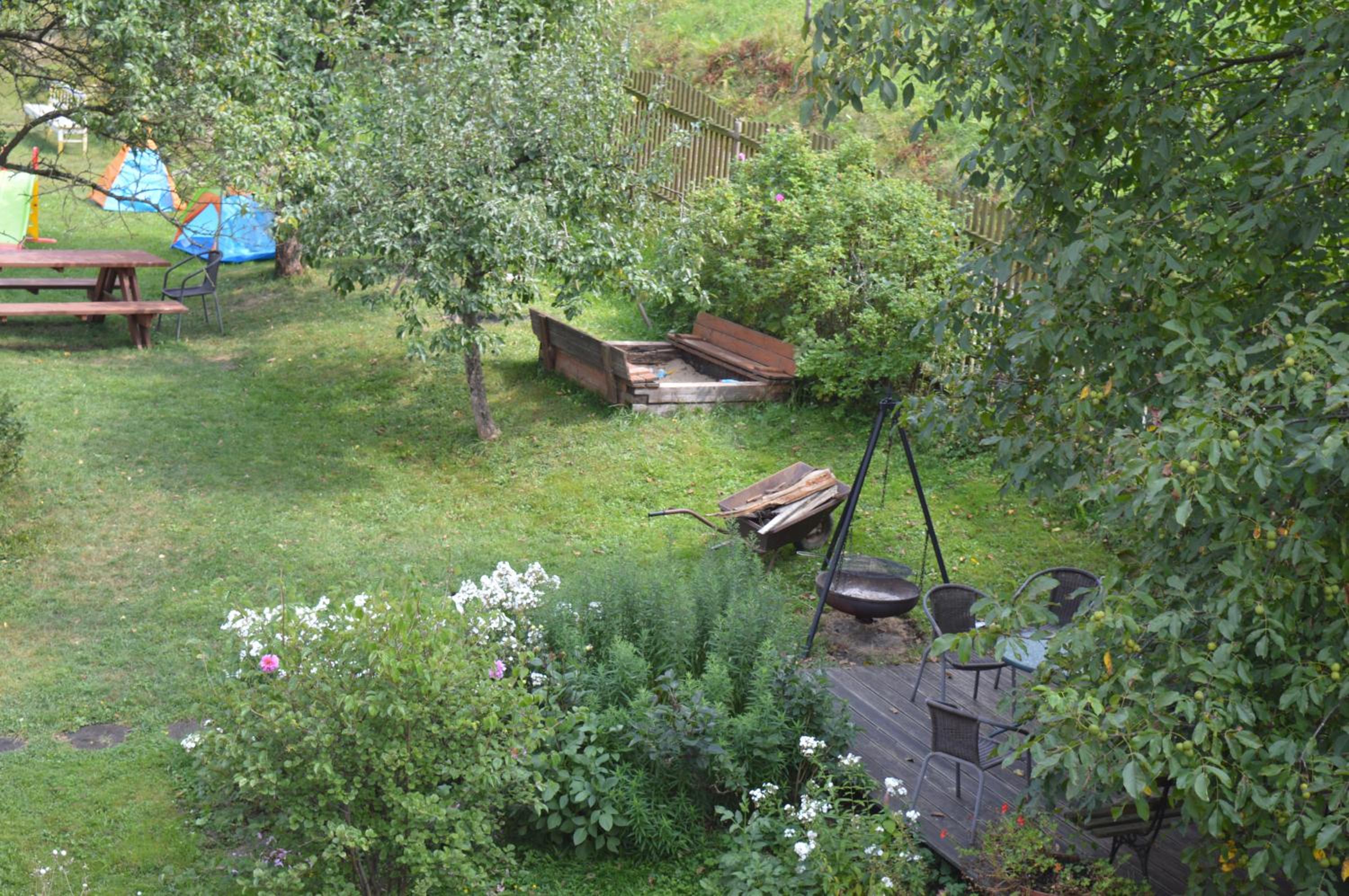 Photo 11