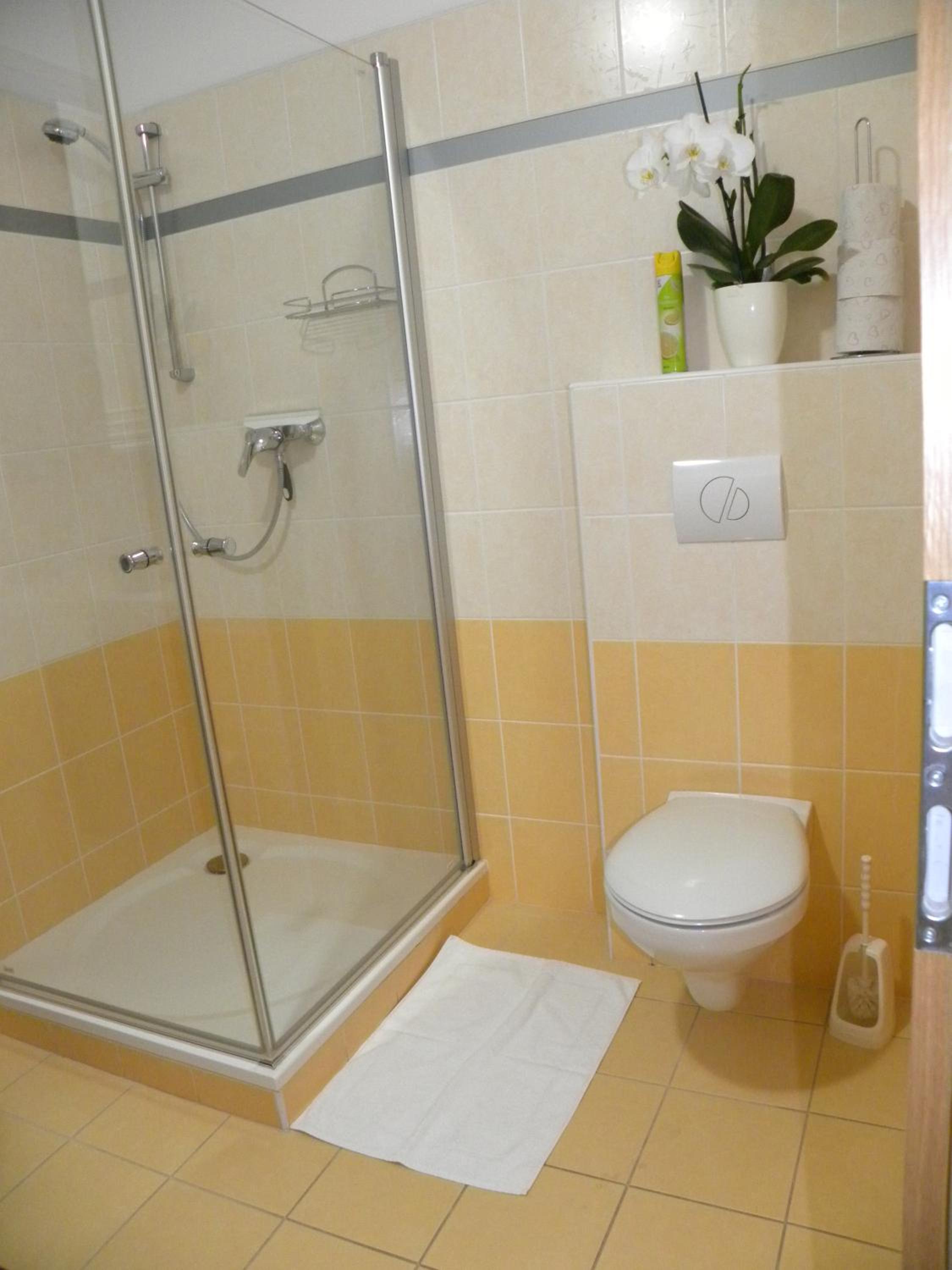 Apartment WELLNESS Vlčková