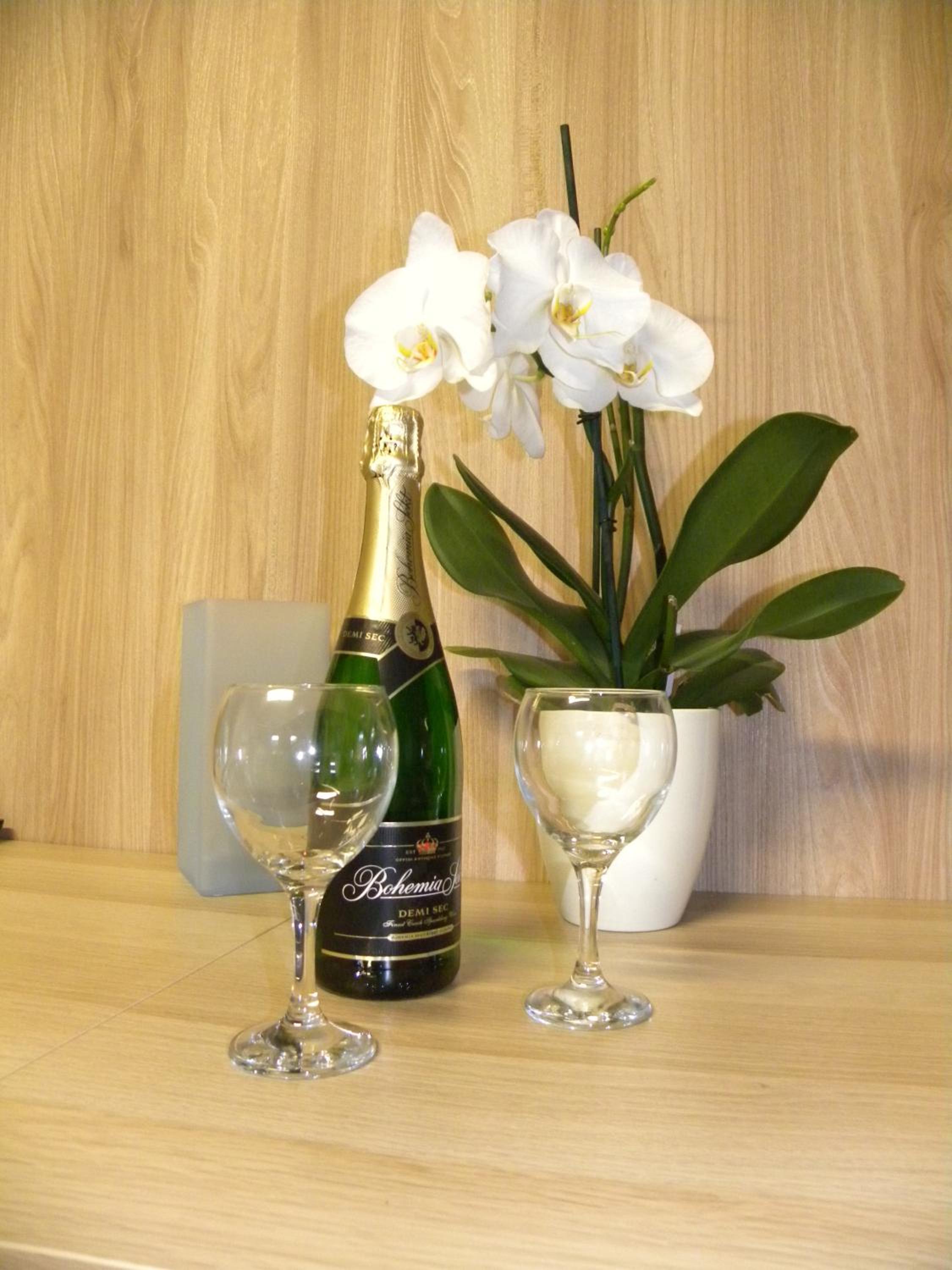 Apartment WELLNESS Vlčková