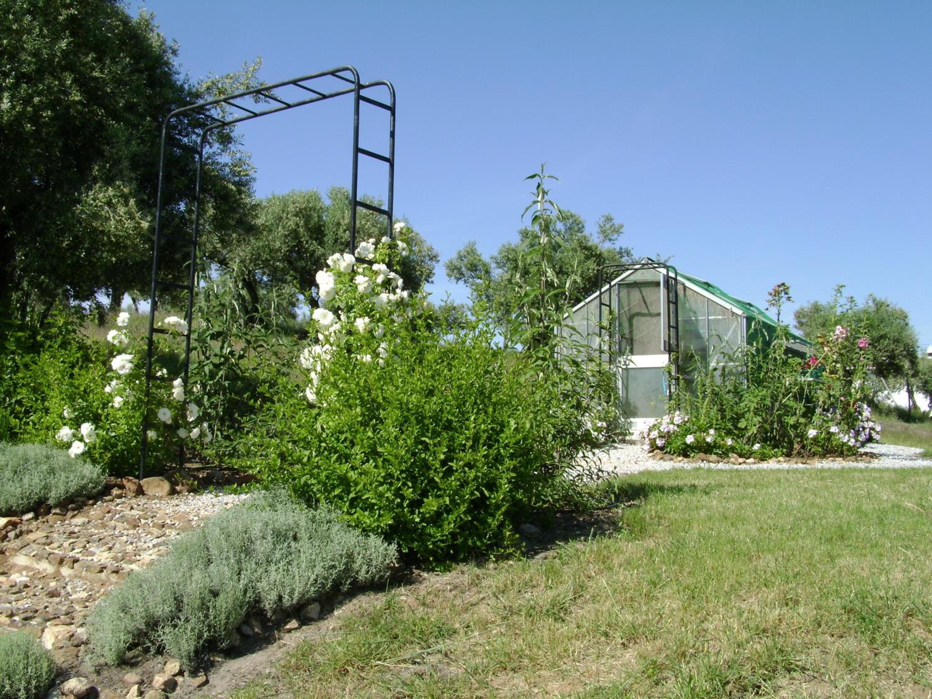 Photo 29