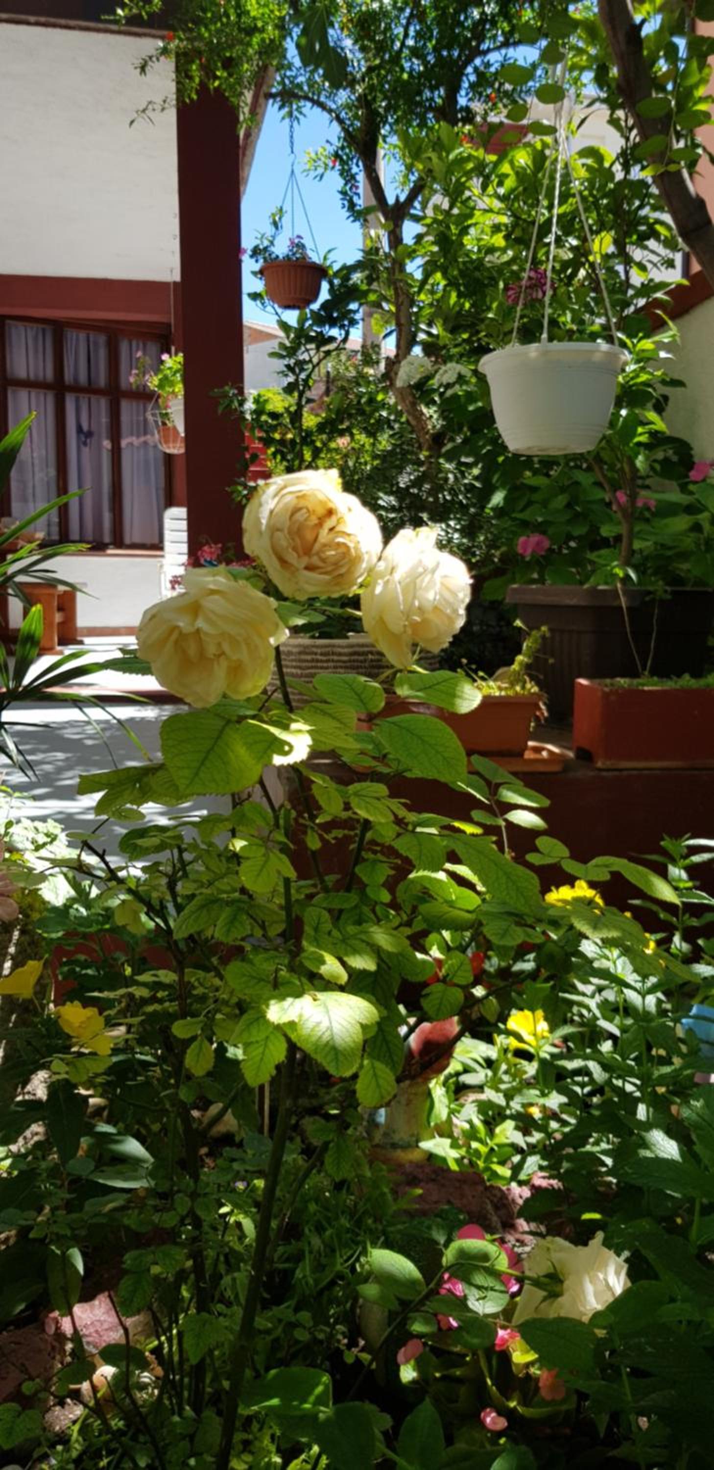 Photo 40